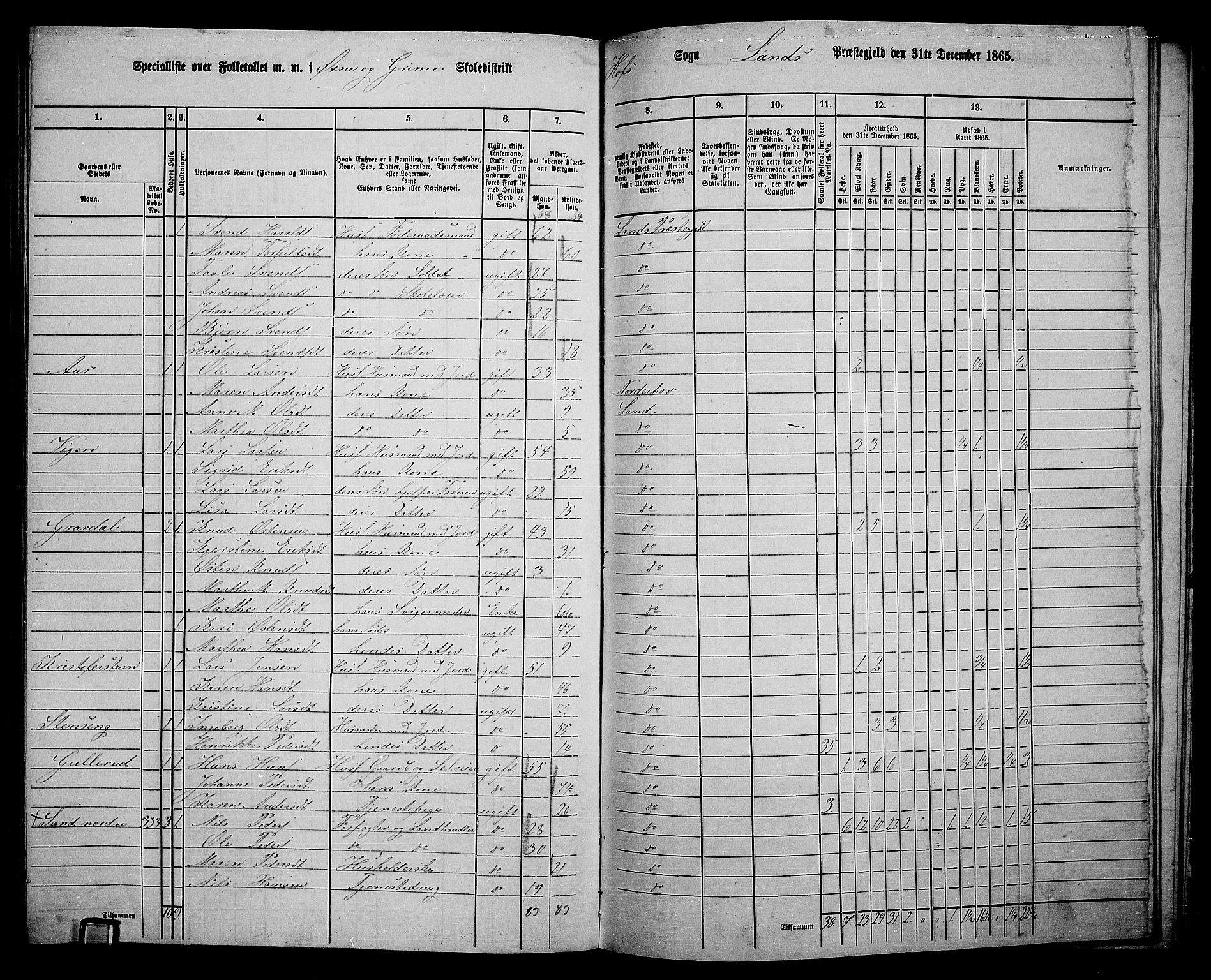 RA, 1865 census for Land, 1865, p. 379