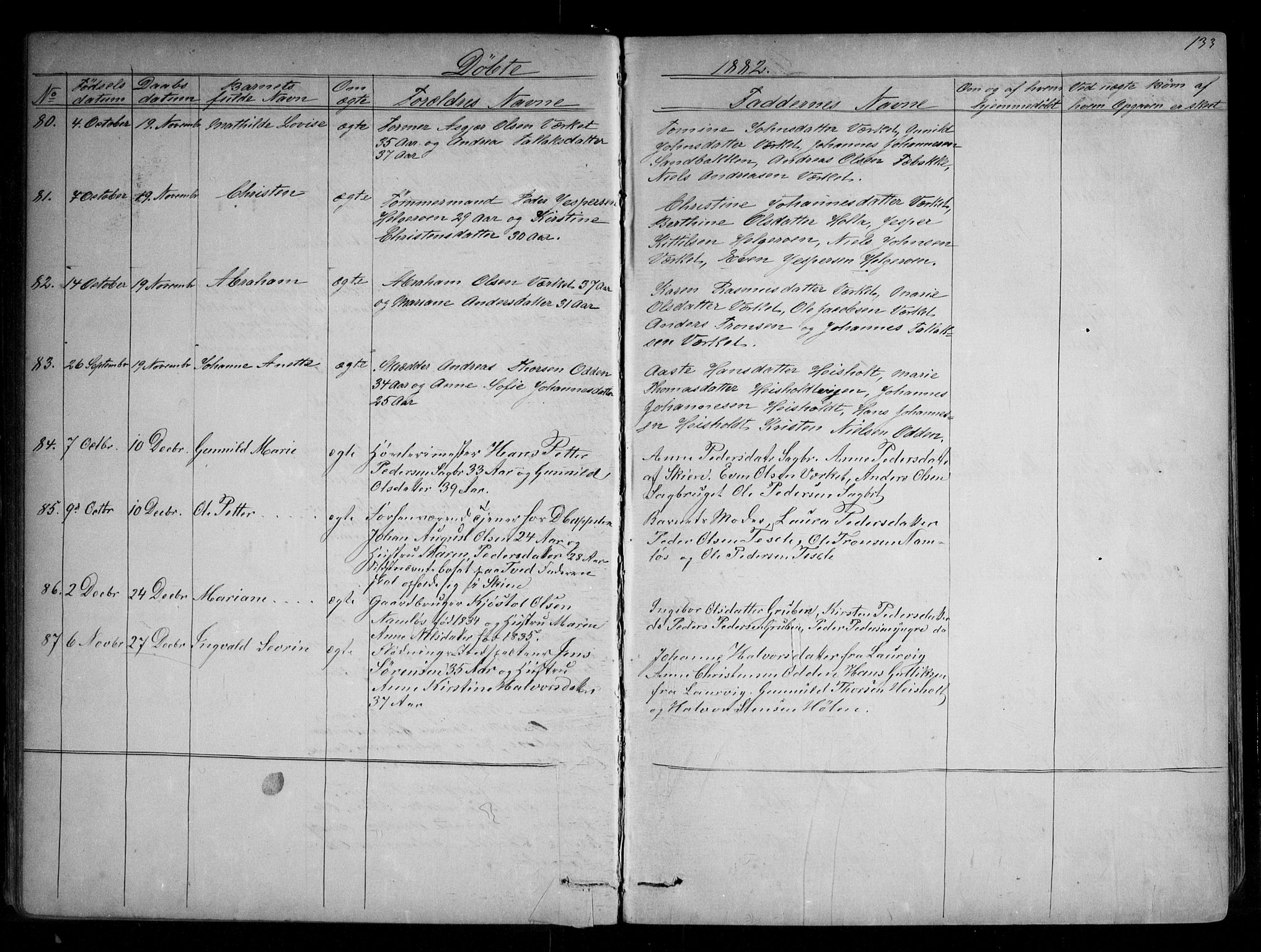 Holla kirkebøker, SAKO/A-272/G/Ga/L0004: Parish register (copy) no. I 4, 1867-1890, p. 133