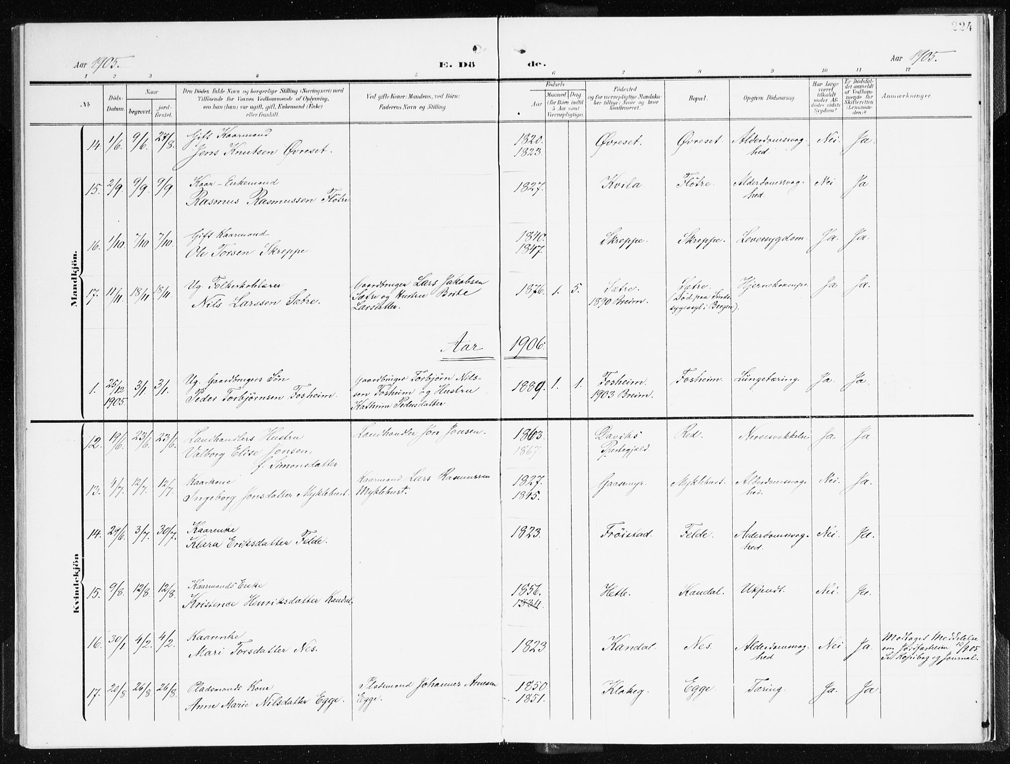 Gloppen sokneprestembete, AV/SAB-A-80101/H/Haa/Haac/L0003: Parish register (official) no. C 3, 1904-1921, p. 224