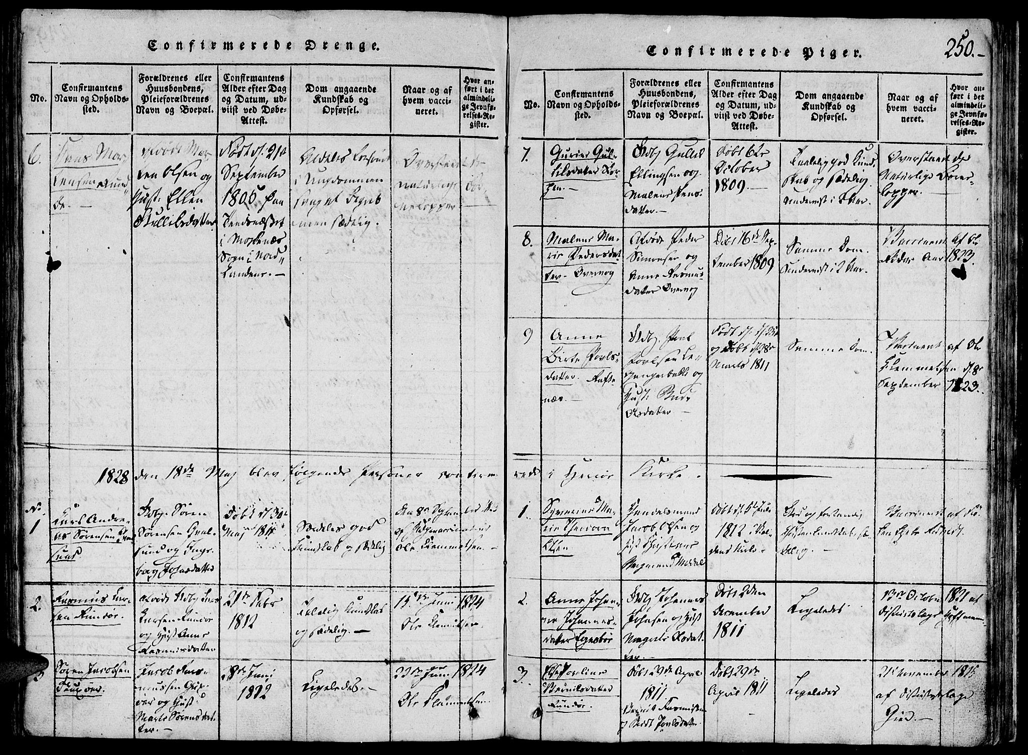 Ministerialprotokoller, klokkerbøker og fødselsregistre - Møre og Romsdal, AV/SAT-A-1454/507/L0069: Parish register (official) no. 507A04, 1816-1841, p. 250