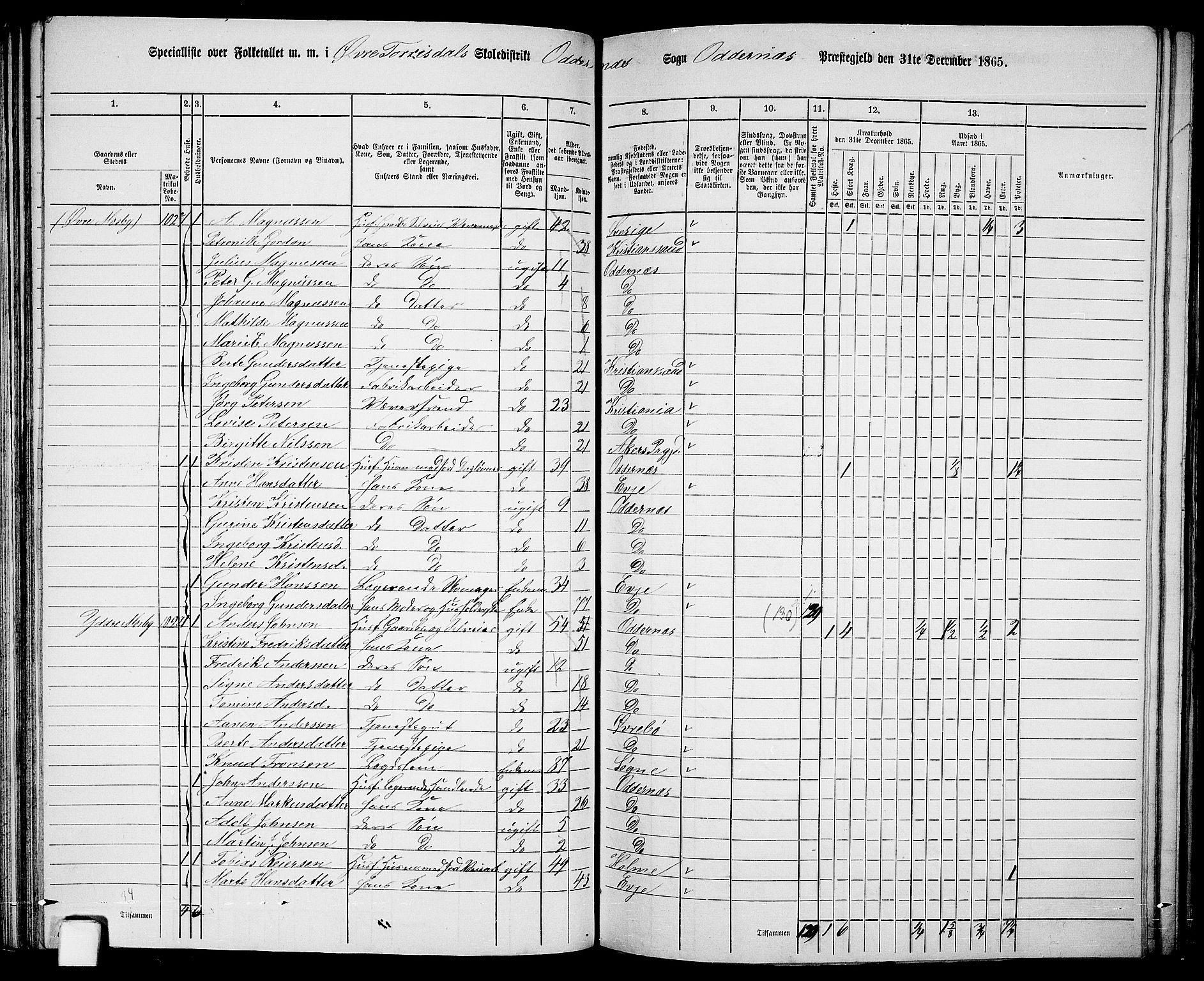 RA, 1865 census for Oddernes, 1865, p. 70