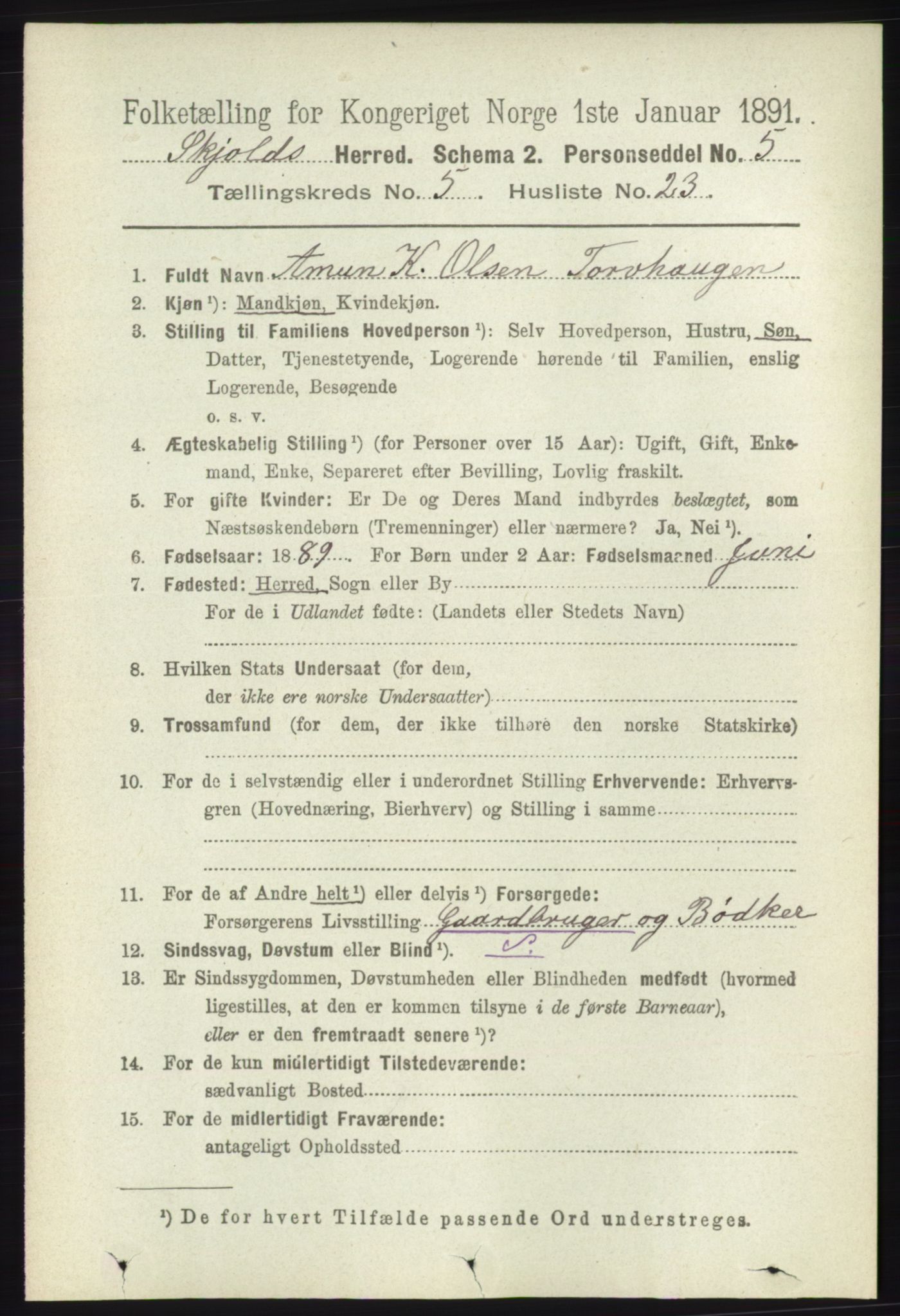 RA, 1891 census for 1154 Skjold, 1891, p. 856