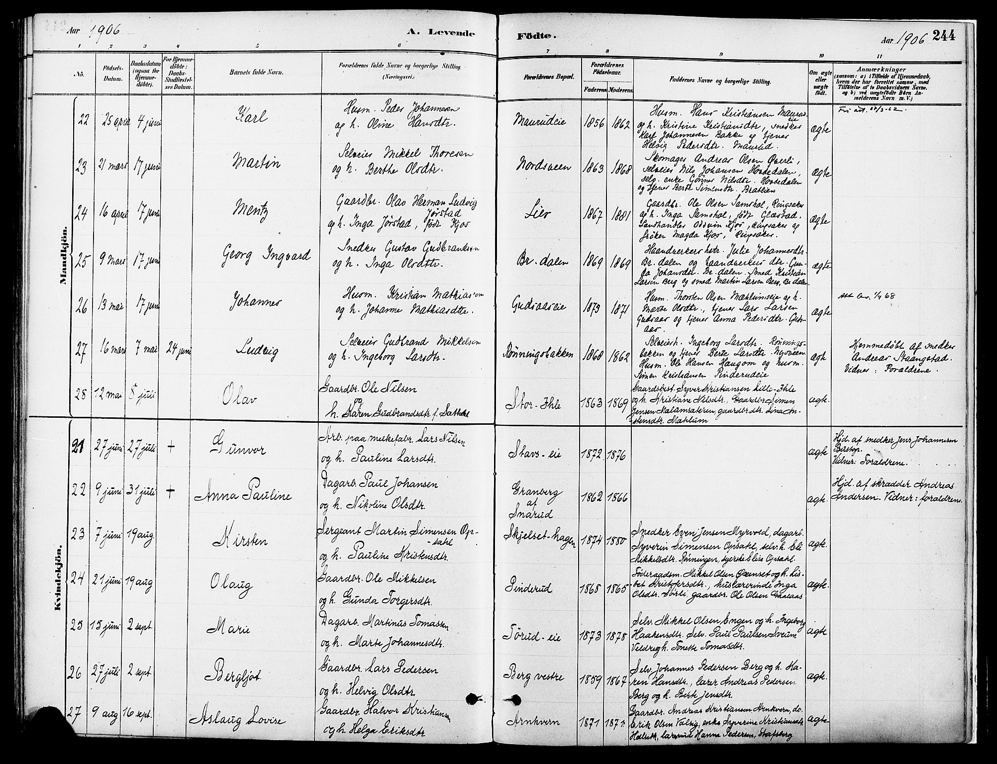 Vang prestekontor, Hedmark, AV/SAH-PREST-008/H/Ha/Haa/L0018A: Parish register (official) no. 18A, 1880-1906, p. 244