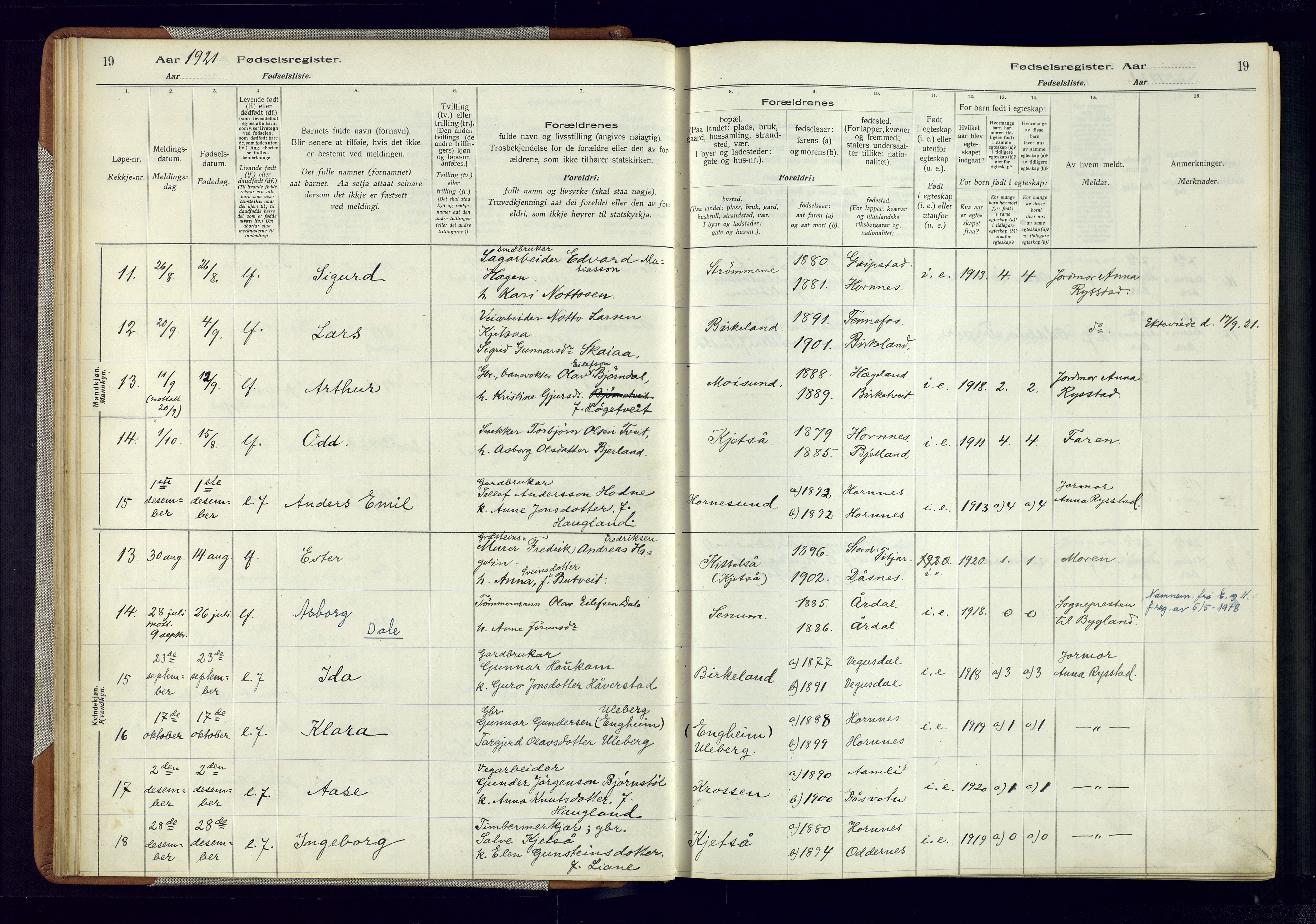 Evje sokneprestkontor, AV/SAK-1111-0008/J/Jc/L0006: Birth register no. 6, 1916-1982, p. 19