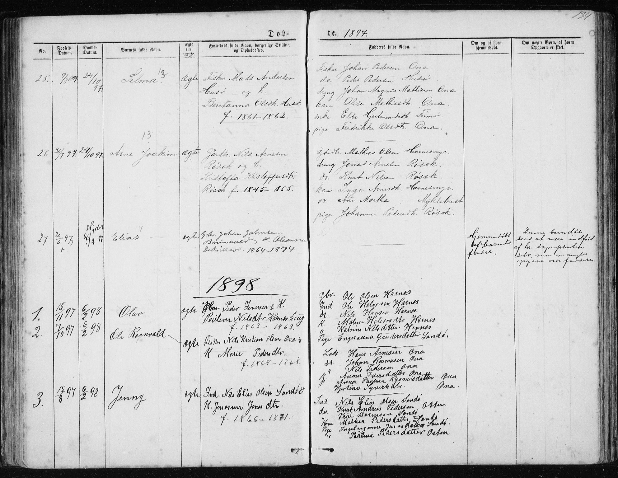 Ministerialprotokoller, klokkerbøker og fødselsregistre - Møre og Romsdal, AV/SAT-A-1454/561/L0732: Parish register (copy) no. 561C02, 1867-1900, p. 134