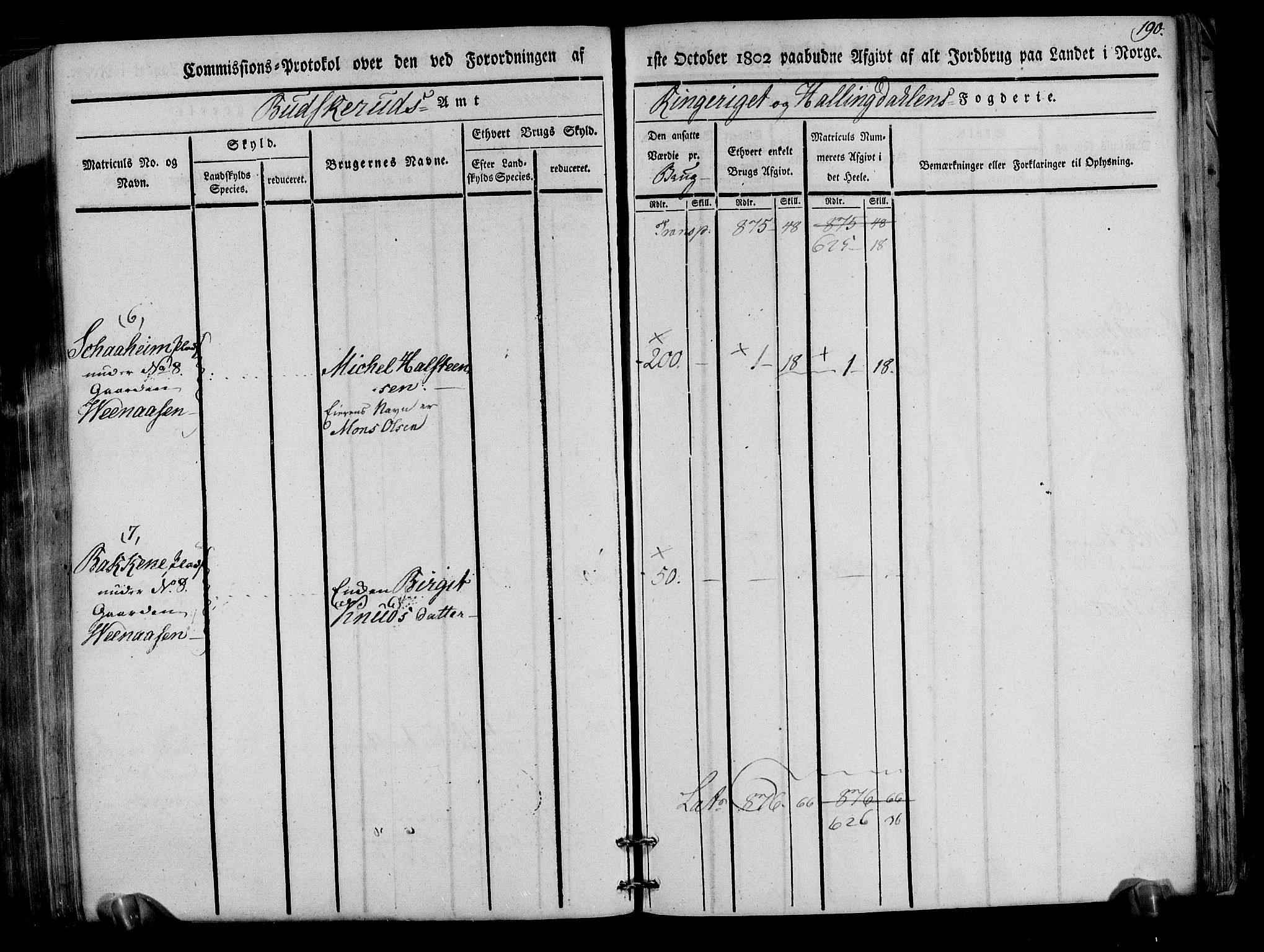 Rentekammeret inntil 1814, Realistisk ordnet avdeling, RA/EA-4070/N/Ne/Nea/L0047: Ringerike og Hallingdal fogderi. Kommisjonsprotokoll for Nes prestegjeld, 1803, p. 193