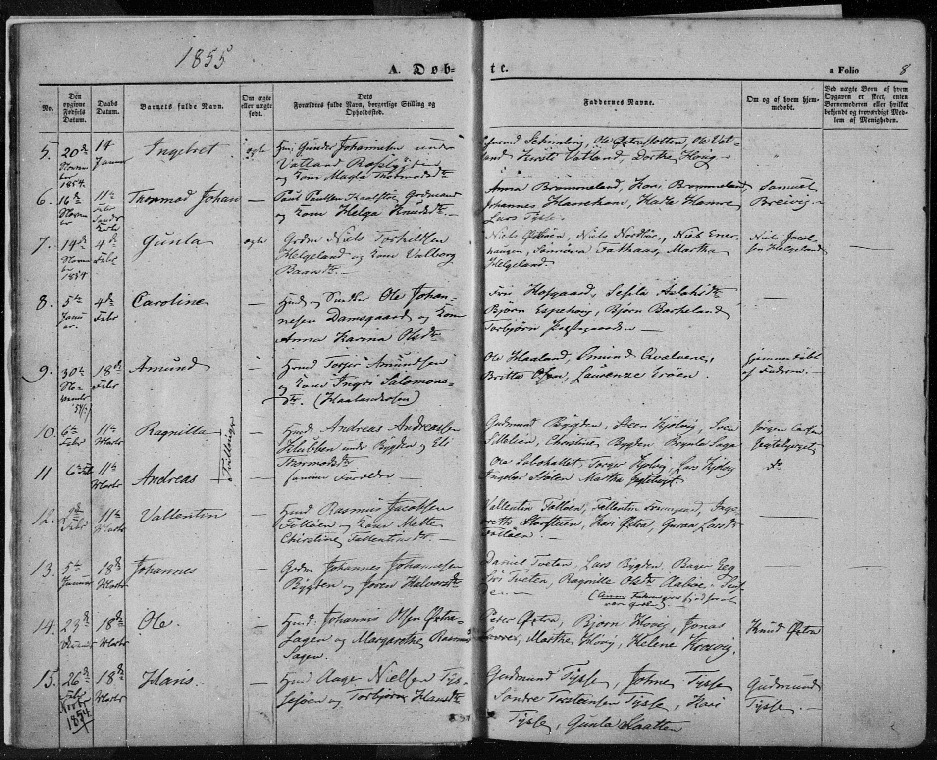 Jelsa sokneprestkontor, AV/SAST-A-101842/01/IV: Parish register (official) no. A 7, 1854-1866, p. 8