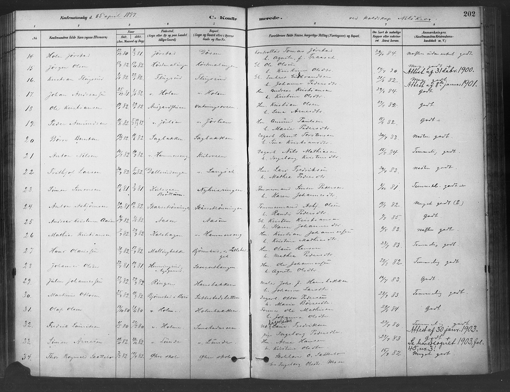 Fåberg prestekontor, SAH/PREST-086/H/Ha/Haa/L0009: Parish register (official) no. 9, 1879-1898, p. 202
