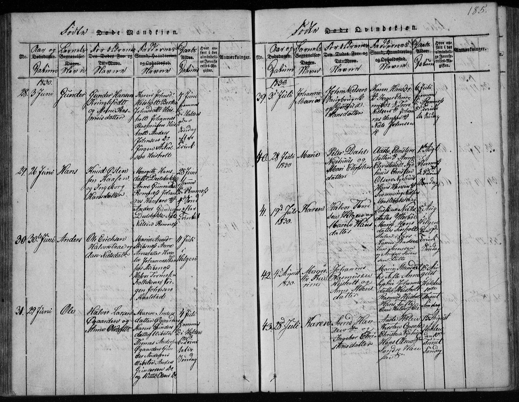 Holla kirkebøker, SAKO/A-272/F/Fa/L0003: Parish register (official) no. 3, 1815-1830, p. 185