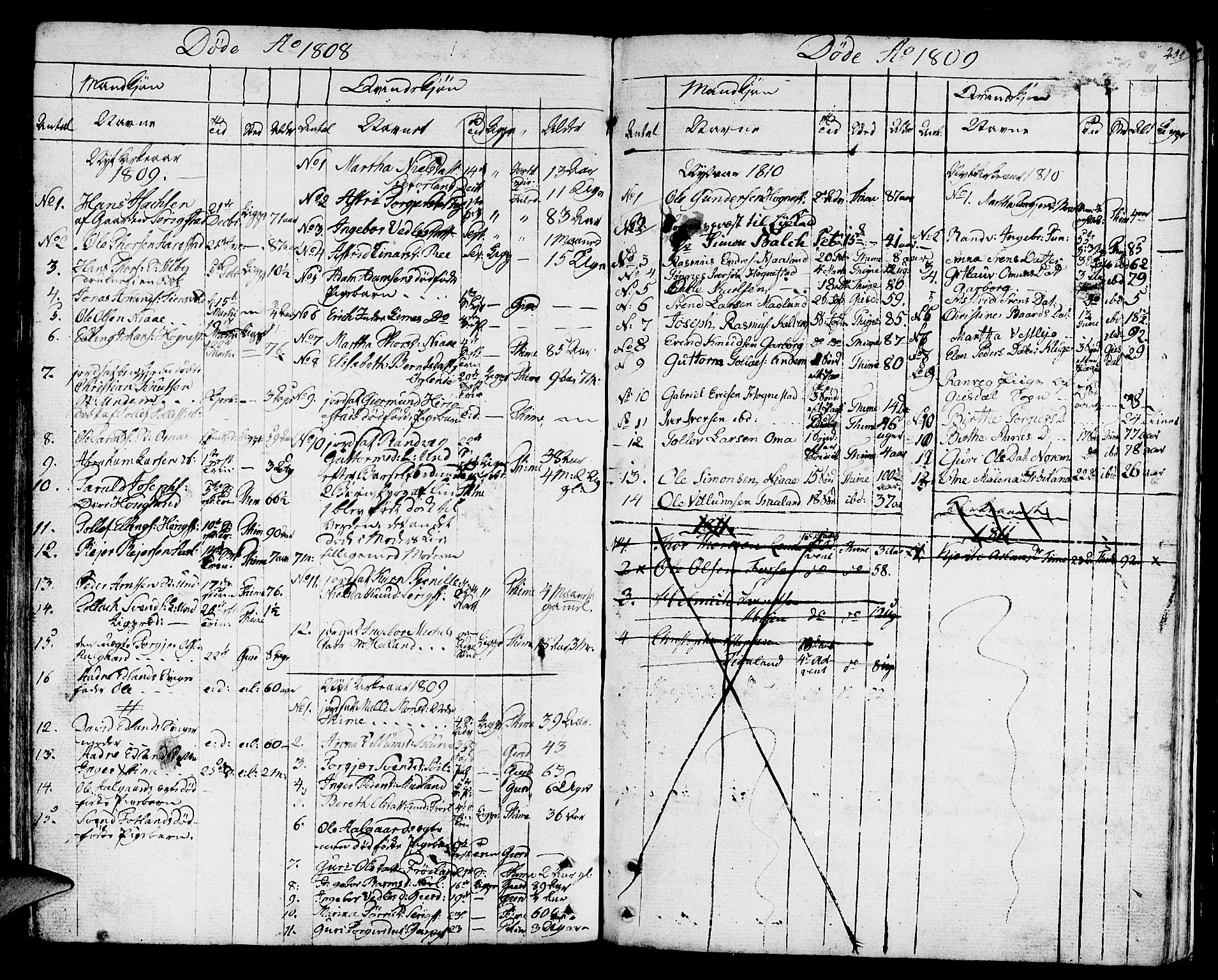 Lye sokneprestkontor, SAST/A-101794/001/30BA/L0002: Parish register (official) no. A 2, 1799-1817, p. 204