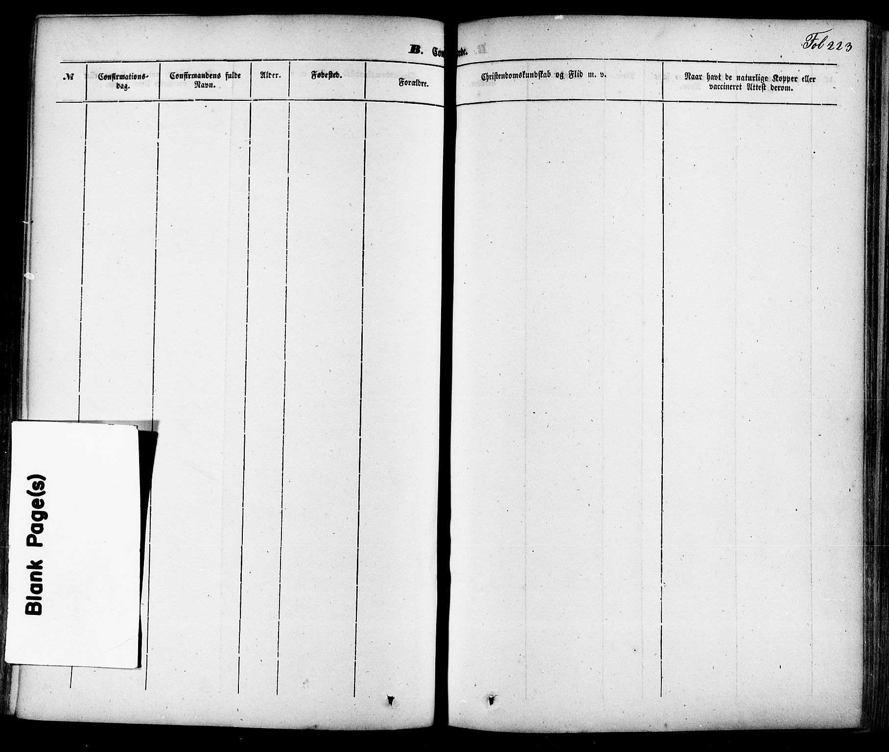Skien kirkebøker, SAKO/A-302/F/Fa/L0006a: Parish register (official) no. 6A, 1843-1856, p. 223