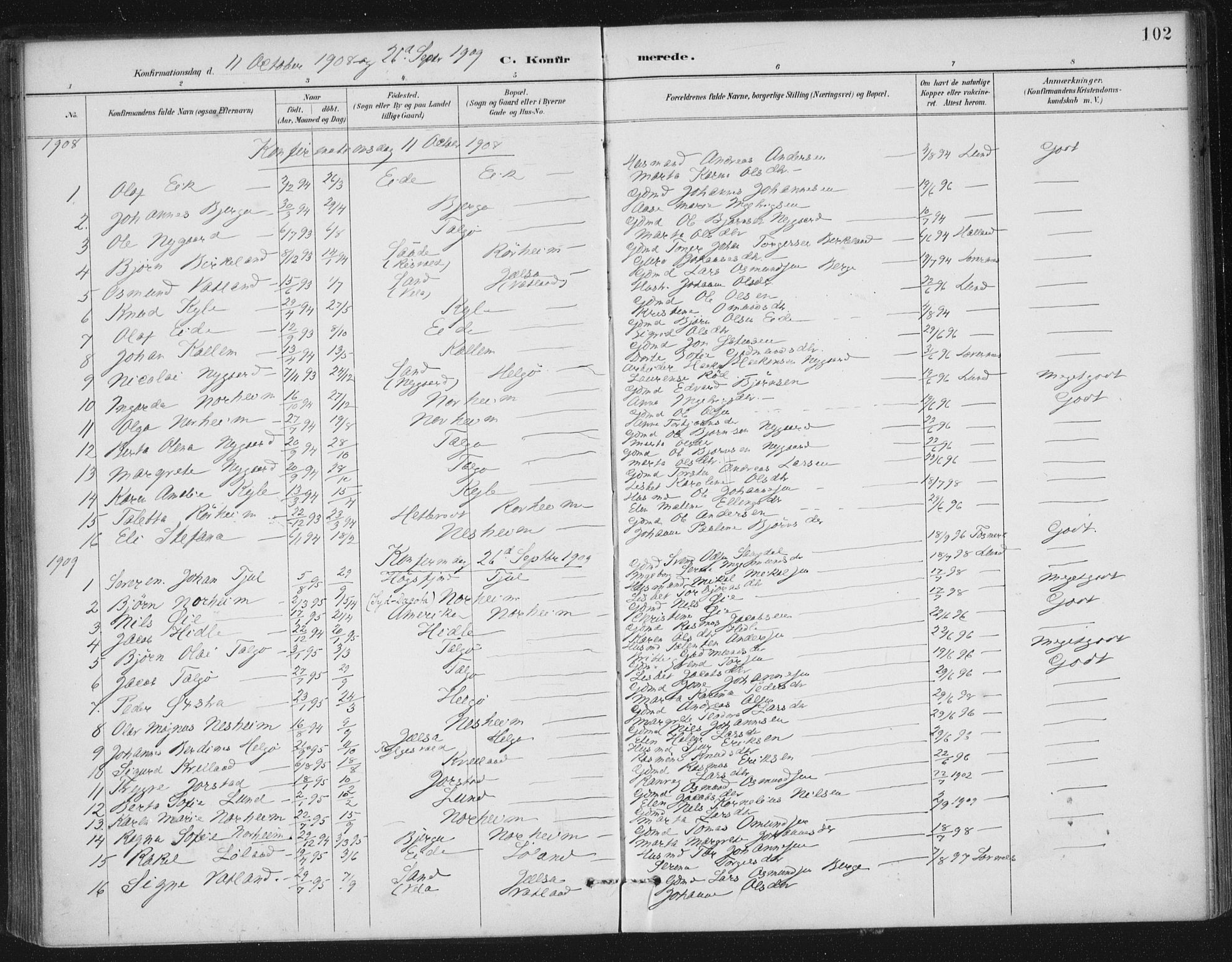 Nedstrand sokneprestkontor, AV/SAST-A-101841/01/IV: Parish register (official) no. A 13, 1887-1915, p. 102