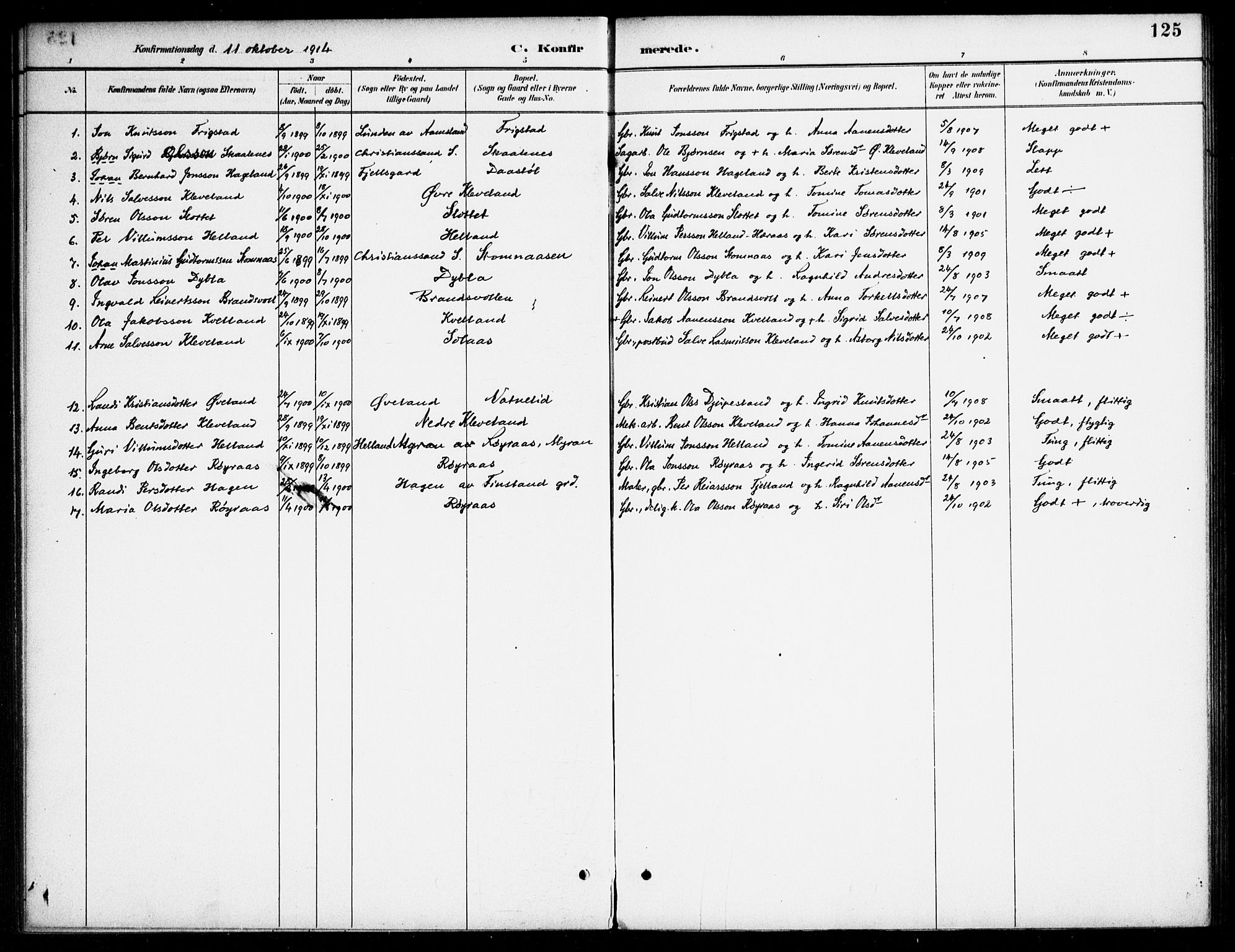 Bjelland sokneprestkontor, AV/SAK-1111-0005/F/Fa/Fab/L0004: Parish register (official) no. A 4, 1887-1920, p. 125