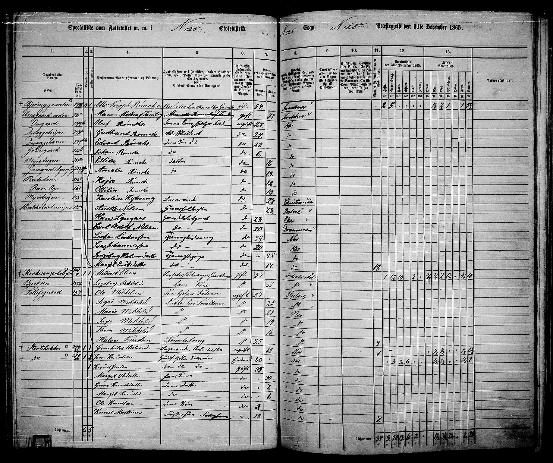 RA, 1865 census for Nes, 1865, p. 149