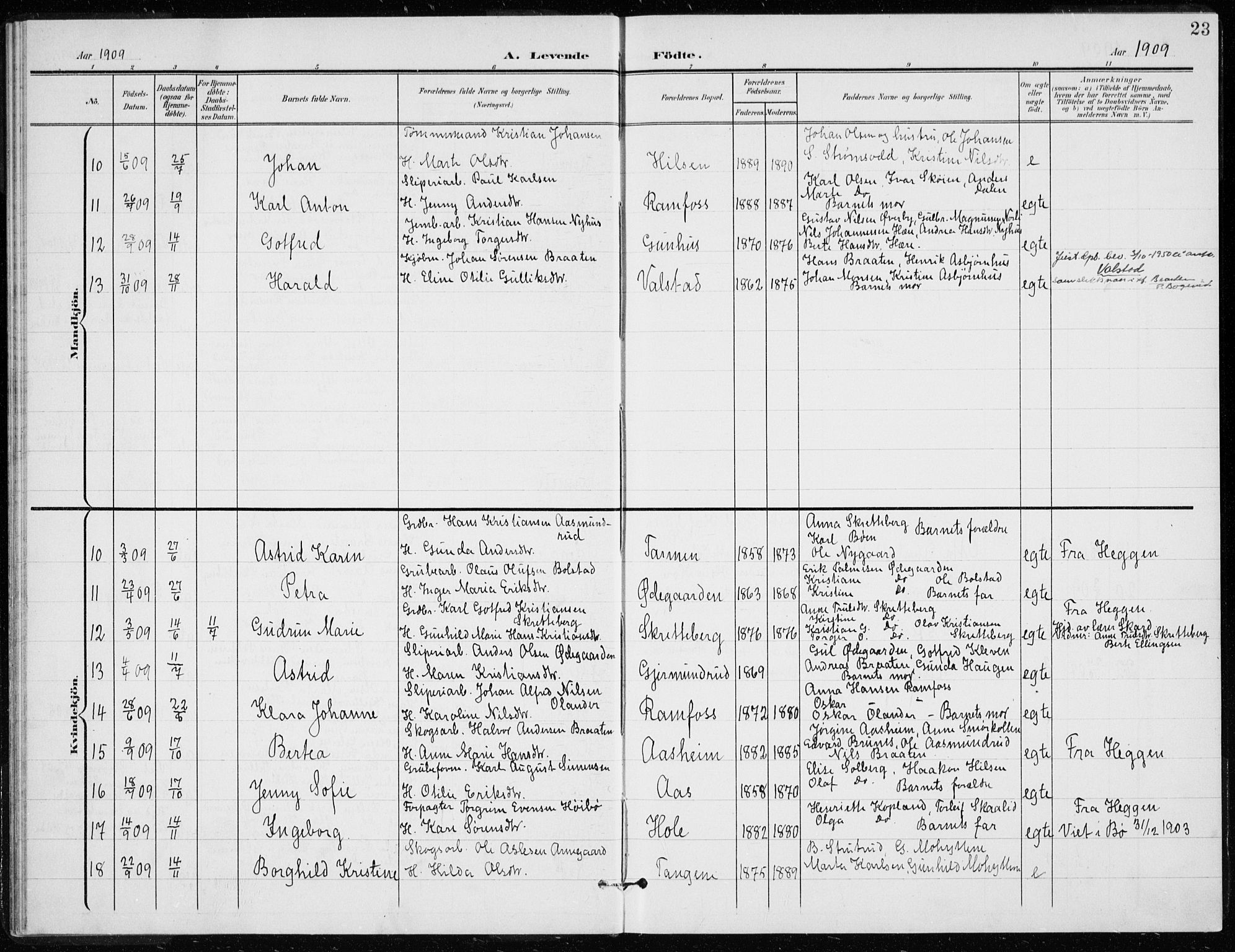 Modum kirkebøker, AV/SAKO-A-234/G/Gd/L0001: Parish register (copy) no. IV 1, 1901-1921, p. 23