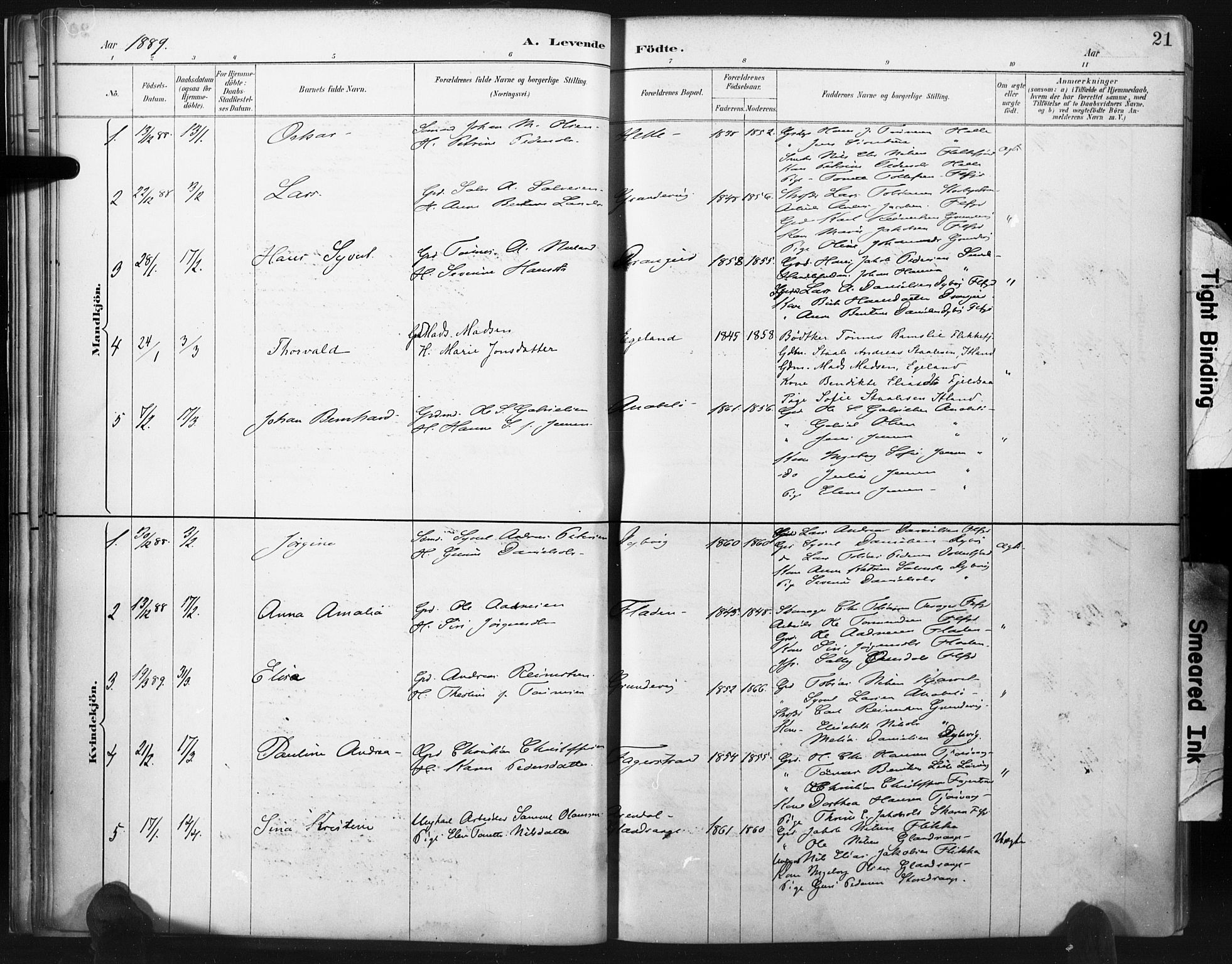 Flekkefjord sokneprestkontor, SAK/1111-0012/F/Fa/Fac/L0008: Parish register (official) no. A 8, 1885-1898, p. 21