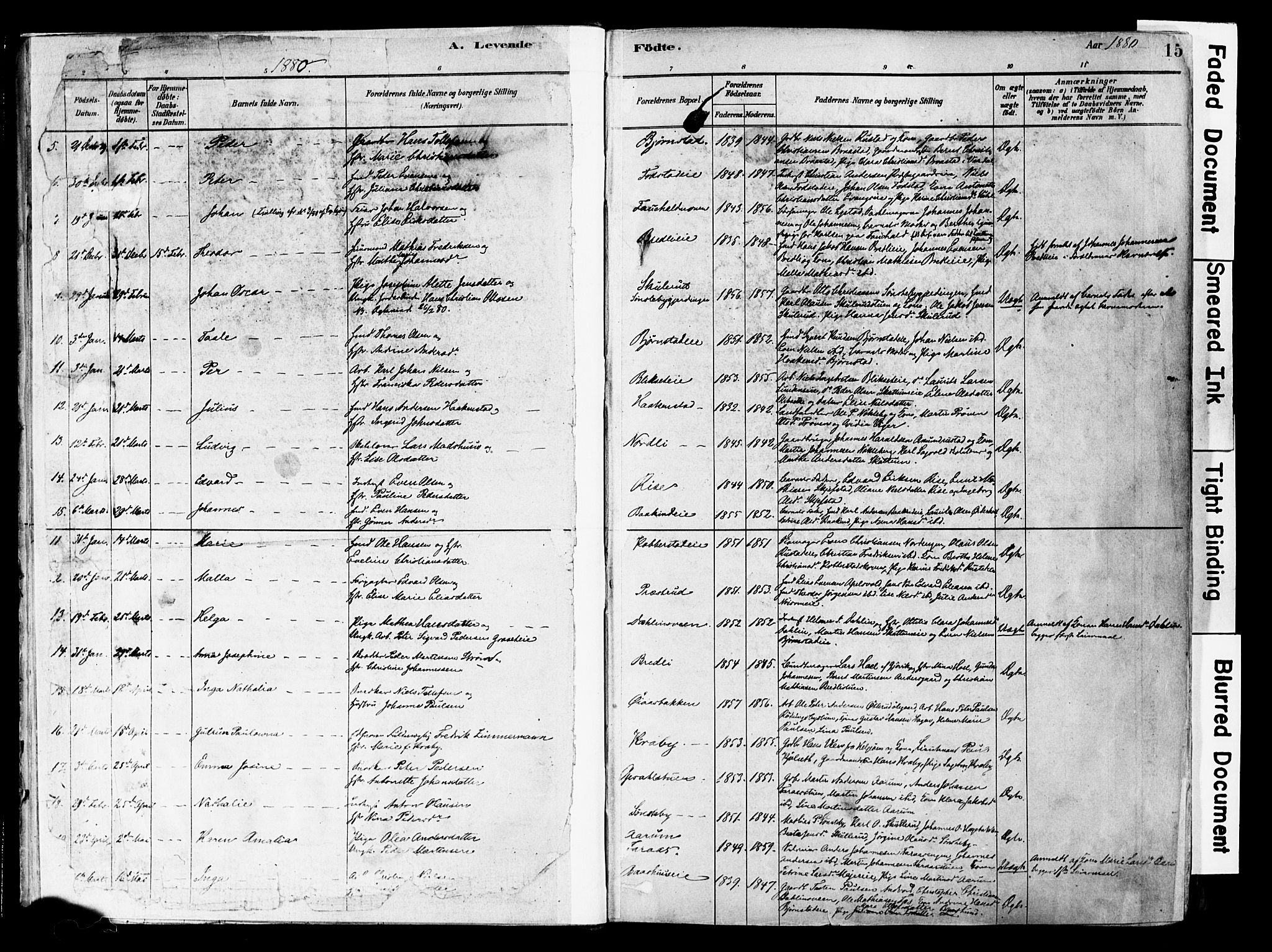 Østre Toten prestekontor, SAH/PREST-104/H/Ha/Haa/L0006: Parish register (official) no. 6 /1, 1878-1896, p. 15