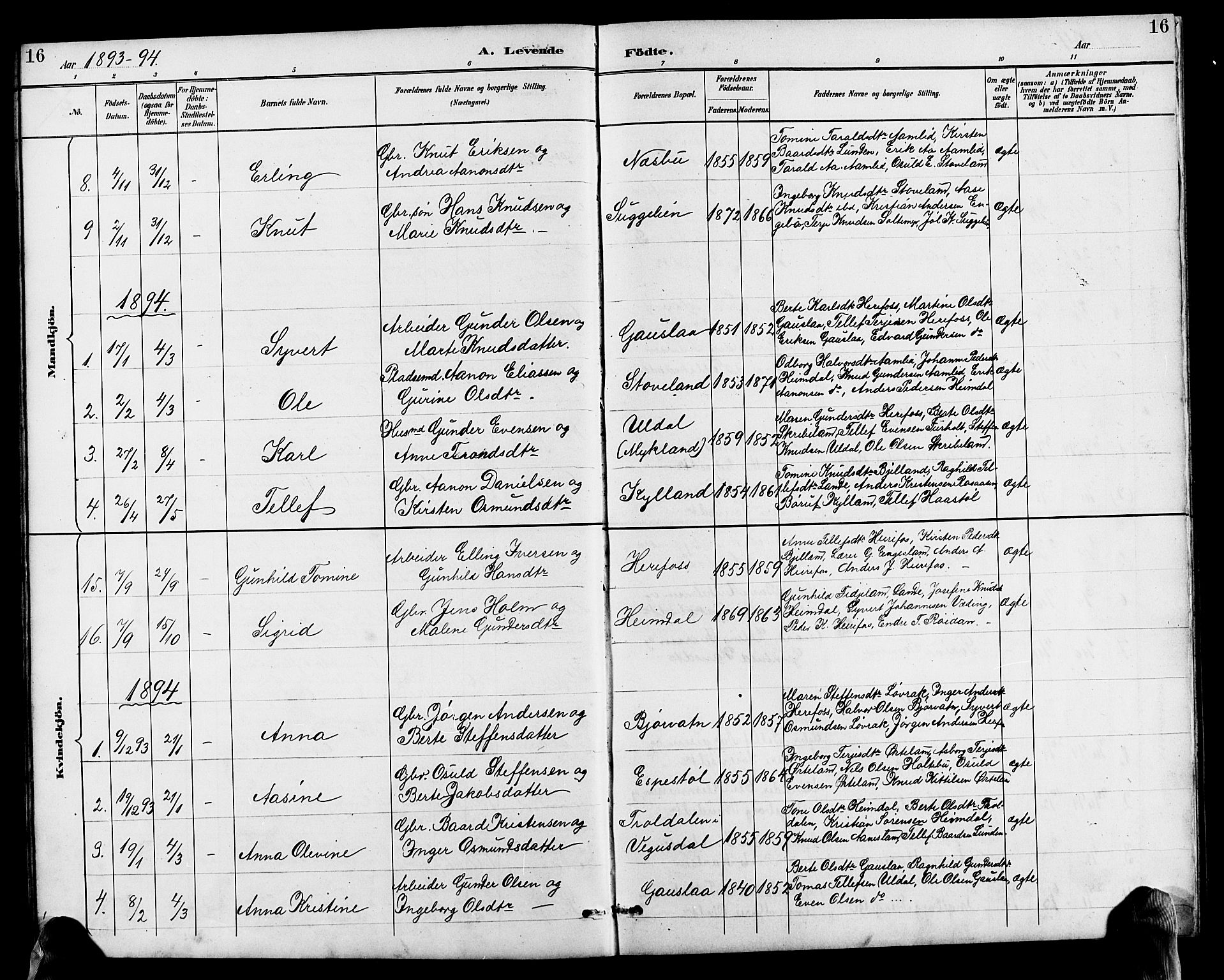 Herefoss sokneprestkontor, SAK/1111-0019/F/Fb/Fba/L0003: Parish register (copy) no. B 3, 1887-1925, p. 16