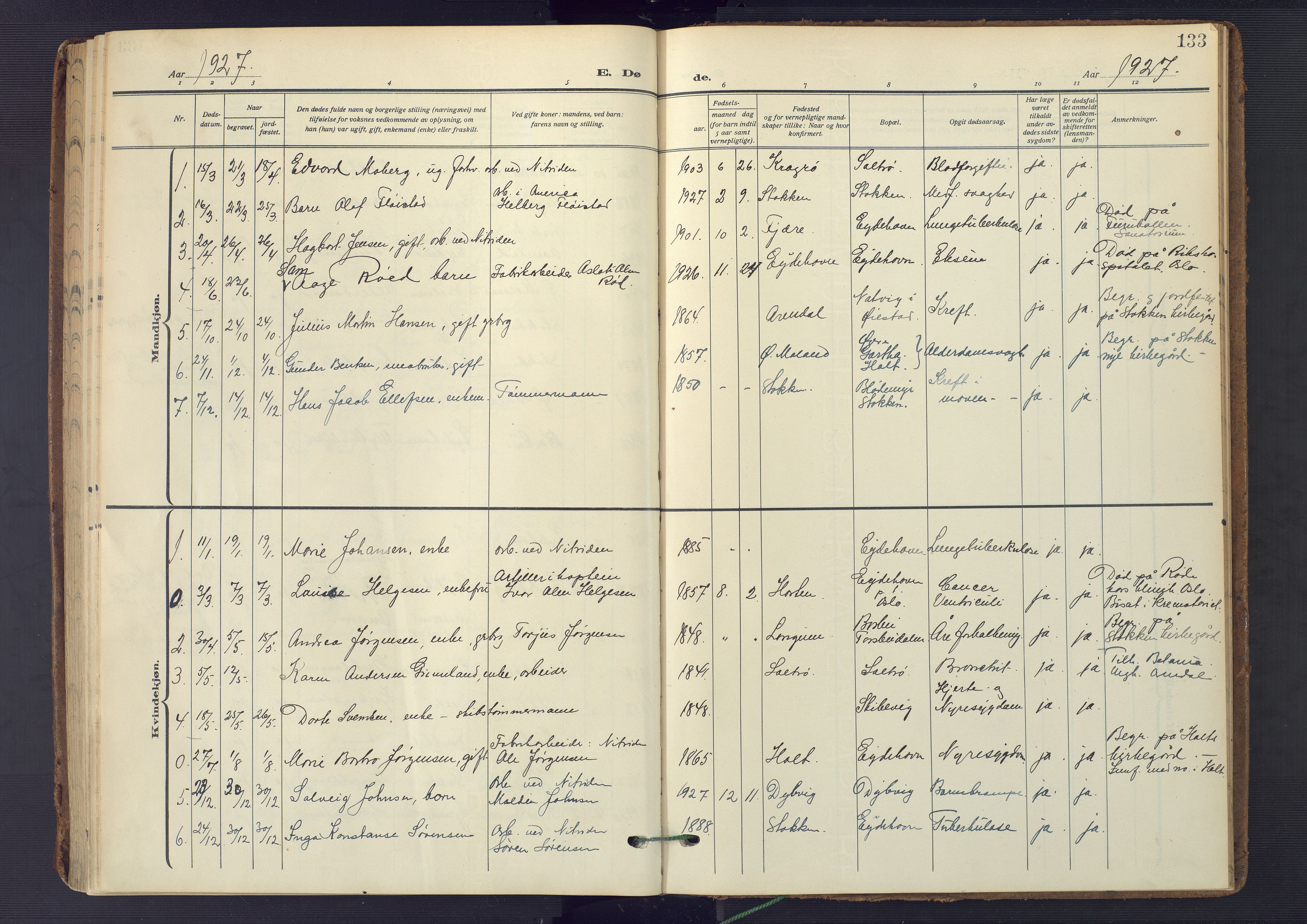Austre Moland sokneprestkontor, SAK/1111-0001/F/Fa/Fab/L0003: Parish register (official) no. A 3, 1914-1927, p. 133