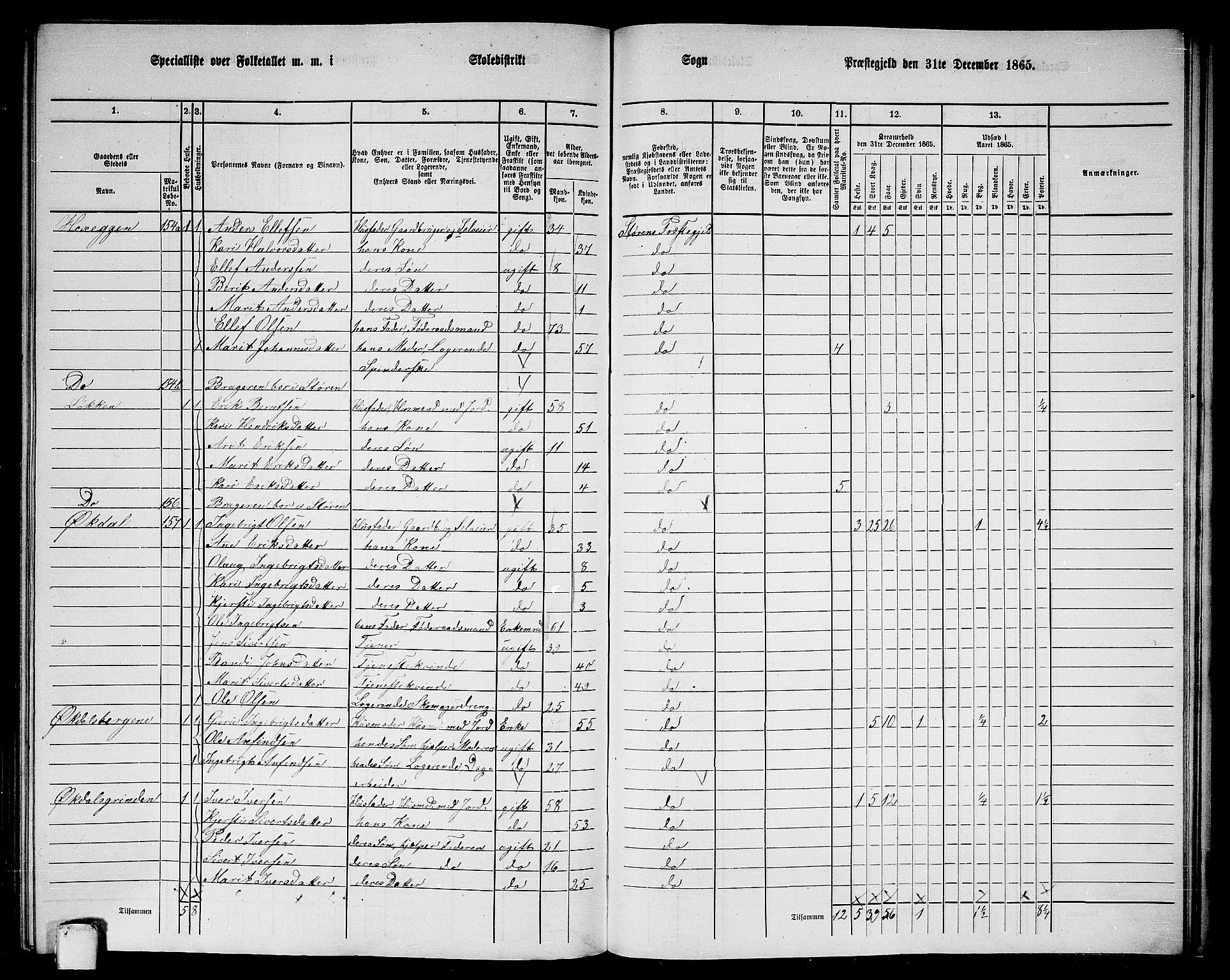 RA, 1865 census for Støren, 1865, p. 290