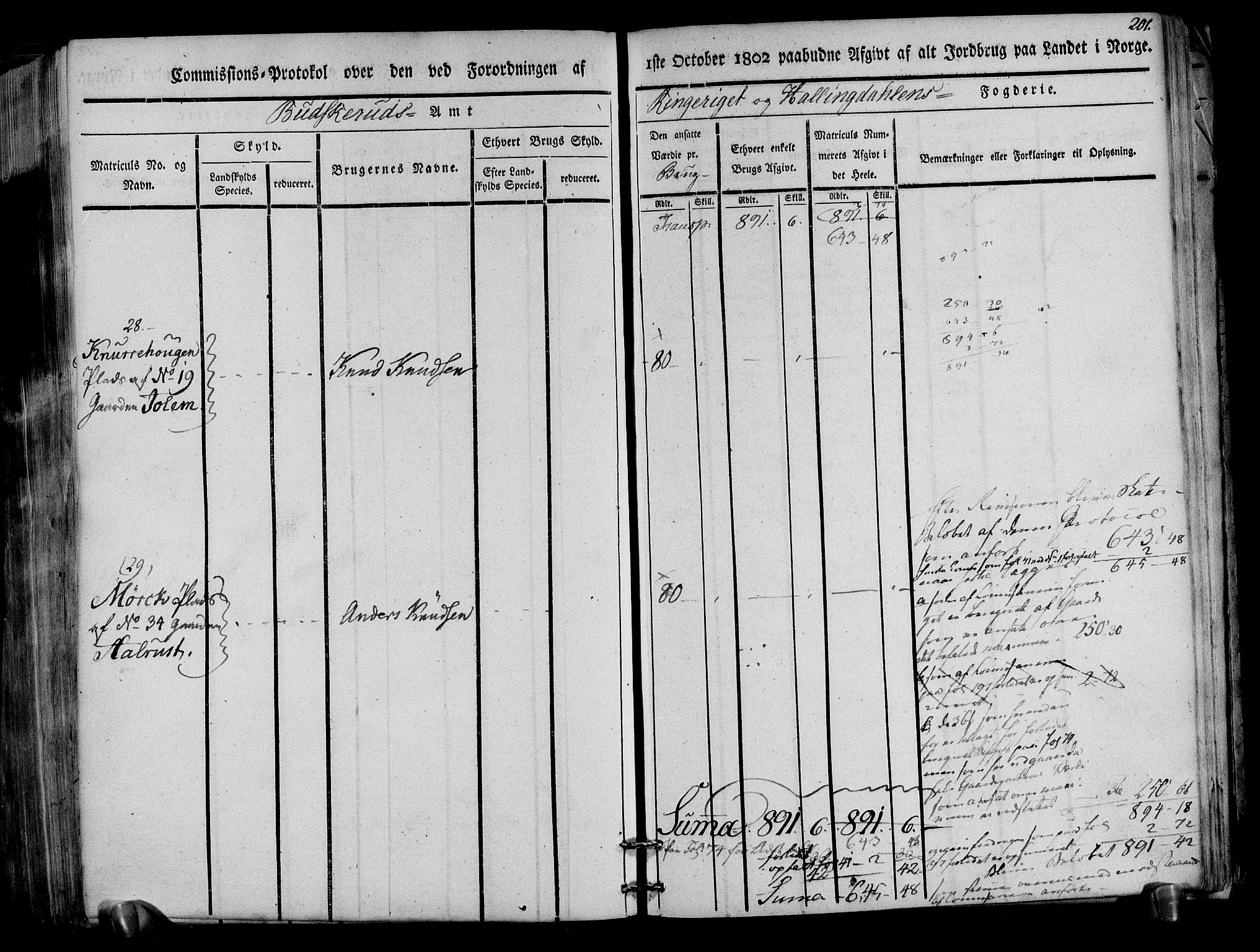 Rentekammeret inntil 1814, Realistisk ordnet avdeling, AV/RA-EA-4070/N/Ne/Nea/L0047: Ringerike og Hallingdal fogderi. Kommisjonsprotokoll for Nes prestegjeld, 1803, p. 205