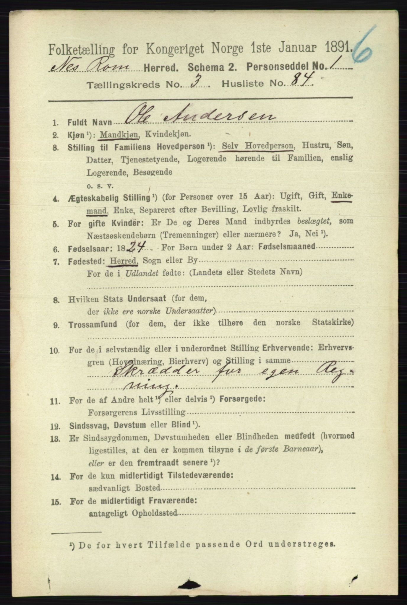 RA, 1891 census for 0236 Nes, 1891, p. 2177