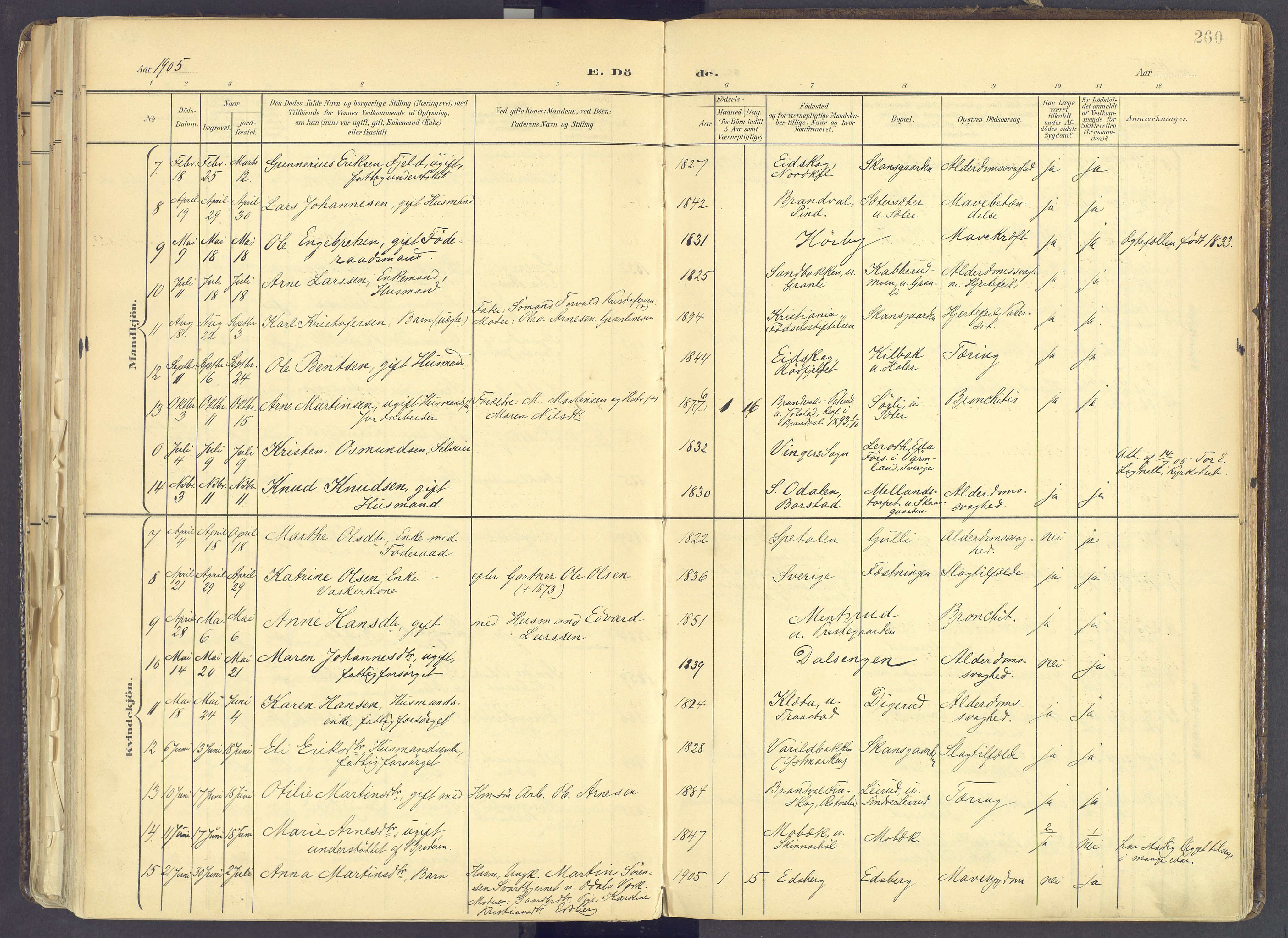 Vinger prestekontor, AV/SAH-PREST-024/H/Ha/Haa/L0017: Parish register (official) no. 17, 1901-1927, p. 260