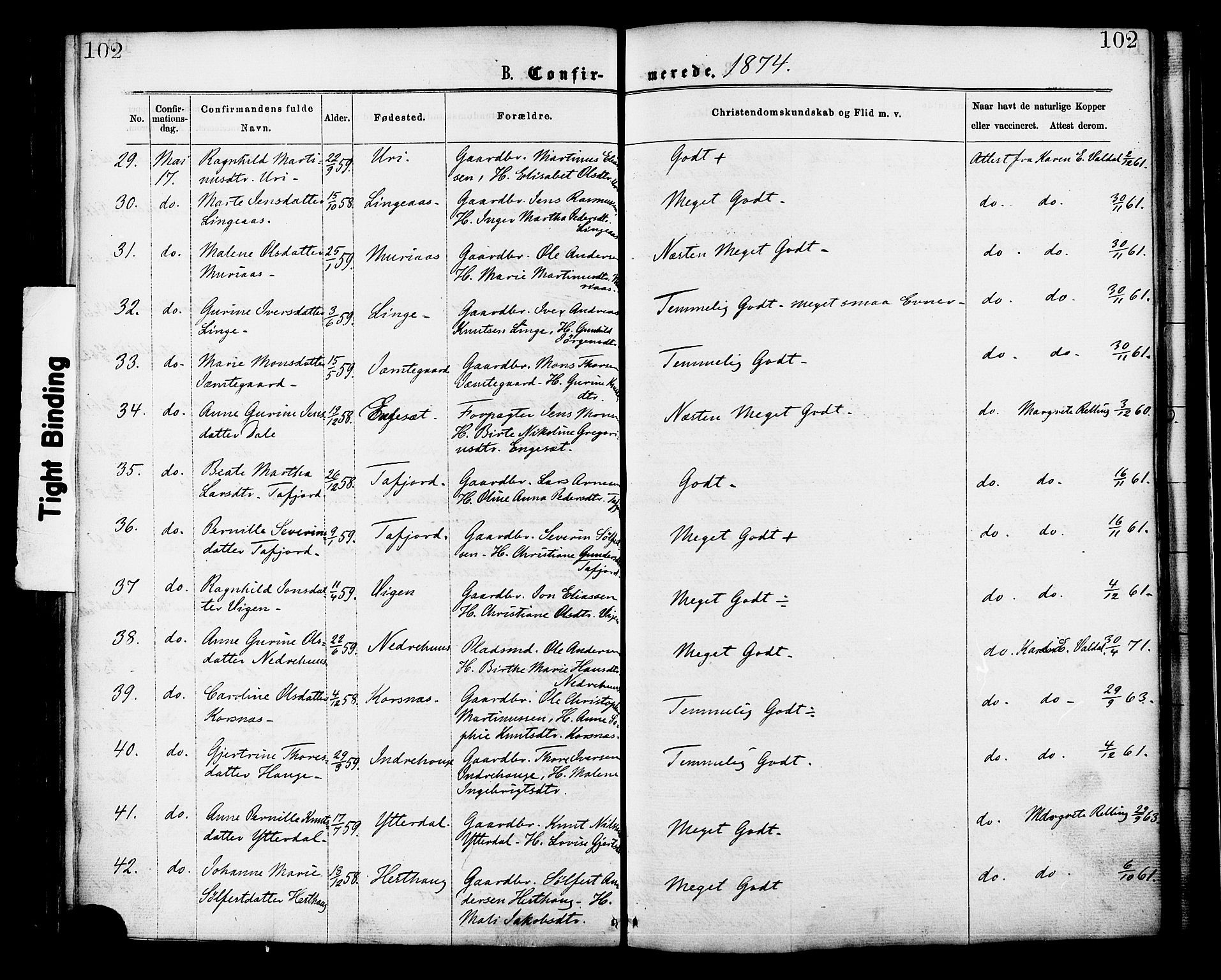 Ministerialprotokoller, klokkerbøker og fødselsregistre - Møre og Romsdal, AV/SAT-A-1454/519/L0254: Parish register (official) no. 519A13, 1868-1883, p. 102