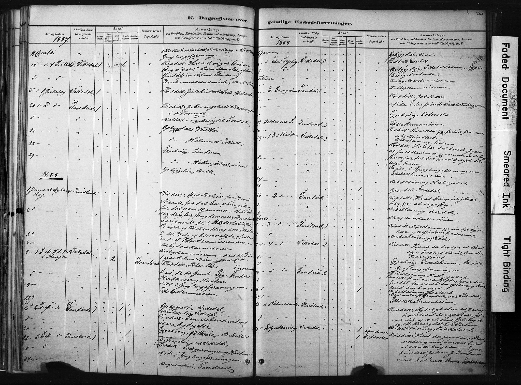 Vikedal sokneprestkontor, AV/SAST-A-101840/01/IV: Parish register (official) no. A 10, 1884-1907, p. 205