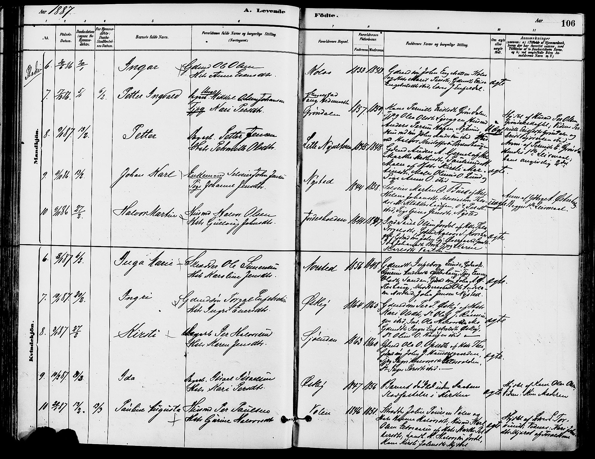 Trysil prestekontor, AV/SAH-PREST-046/H/Ha/Haa/L0008: Parish register (official) no. 8, 1881-1897, p. 106