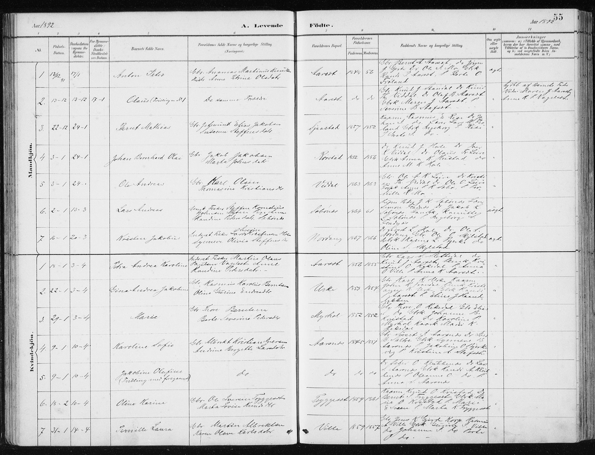 Ministerialprotokoller, klokkerbøker og fødselsregistre - Møre og Romsdal, AV/SAT-A-1454/515/L0215: Parish register (copy) no. 515C02, 1884-1906, p. 55