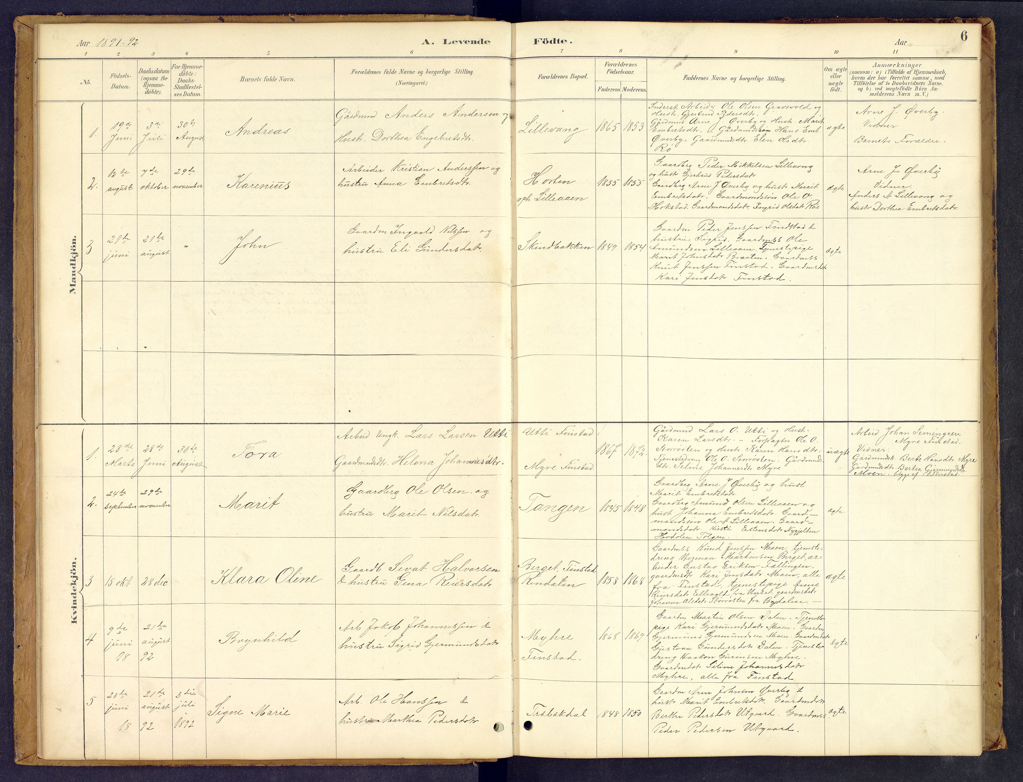 Tynset prestekontor, SAH/PREST-058/H/Ha/Hab/L0008: Parish register (copy) no. 8, 1884-1916, p. 6