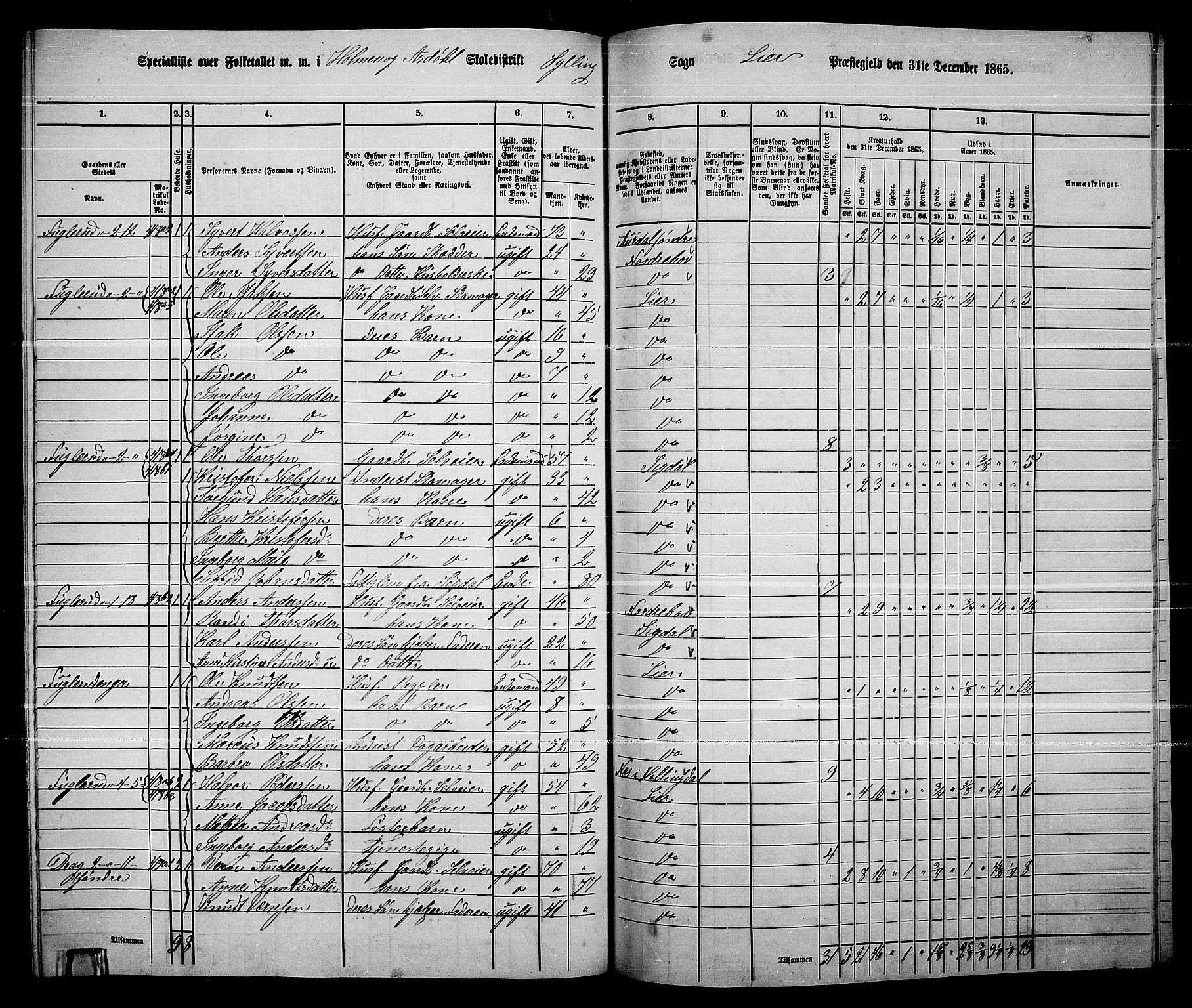 RA, 1865 census for Lier, 1865, p. 236