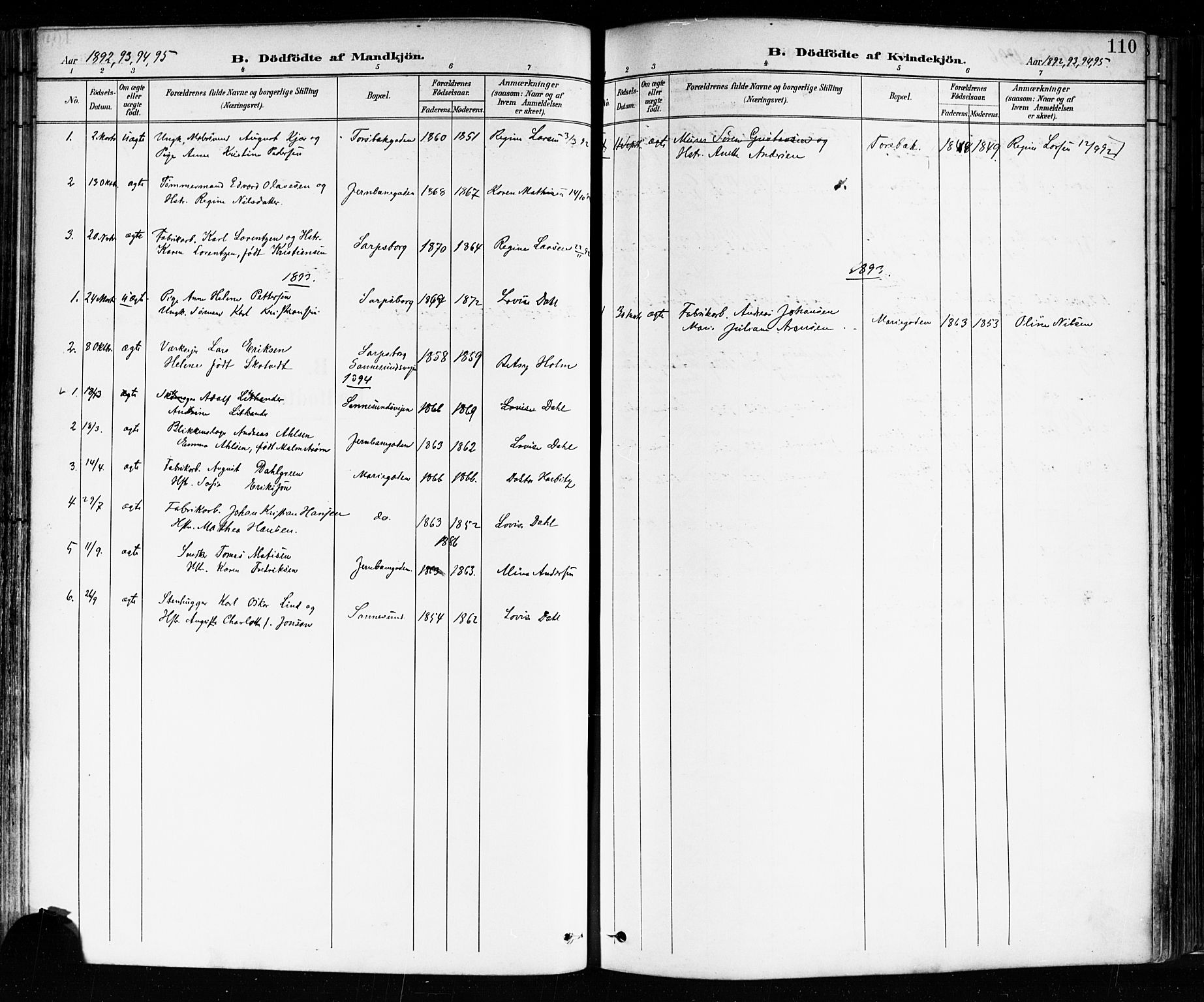 Sarpsborg prestekontor Kirkebøker, SAO/A-2006/F/Fa/L0004: Parish register (official) no. 4, 1892-1899, p. 110