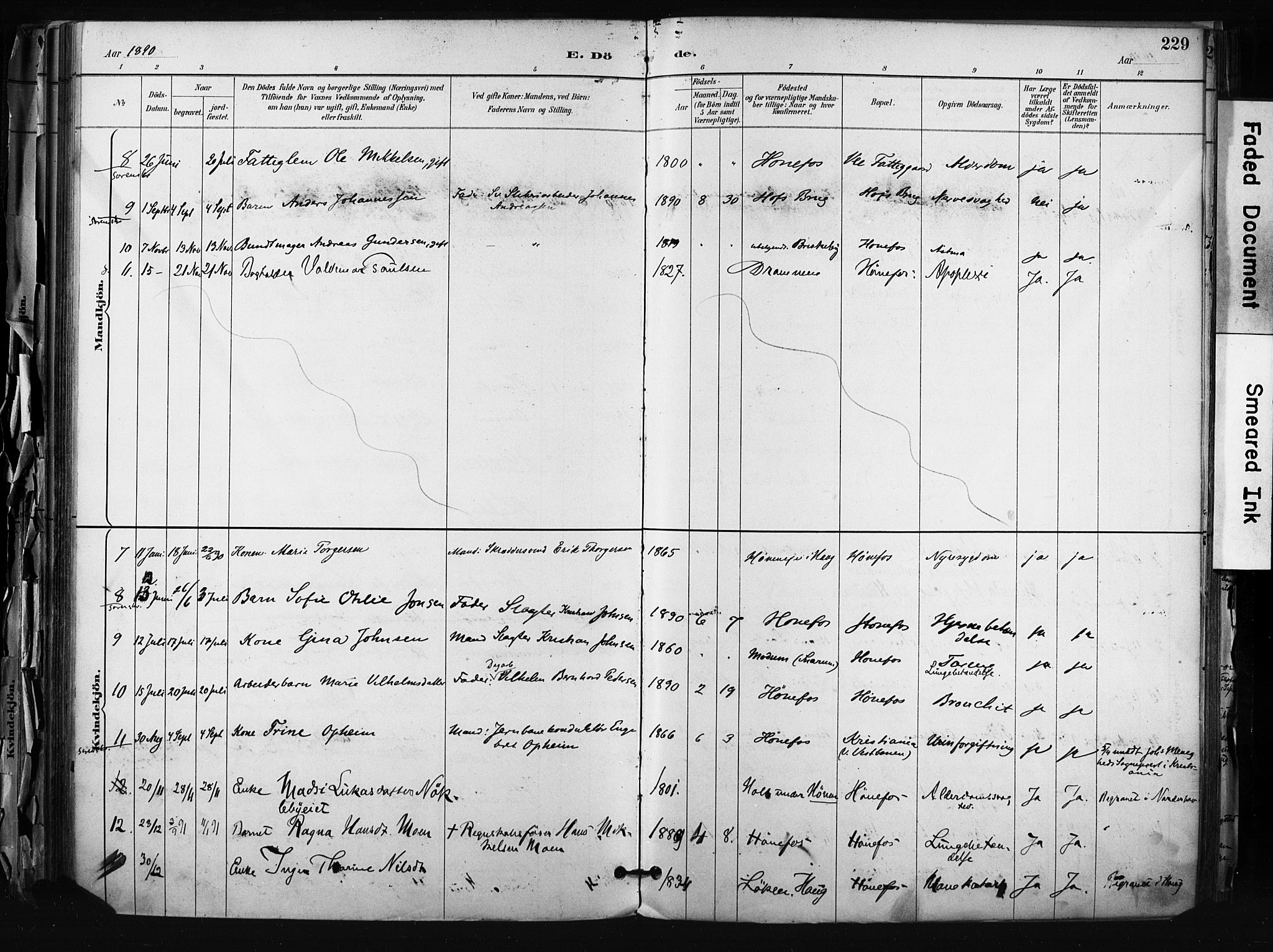 Hønefoss kirkebøker, AV/SAKO-A-609/F/Fa/L0002: Parish register (official) no. 2, 1887-1906, p. 229