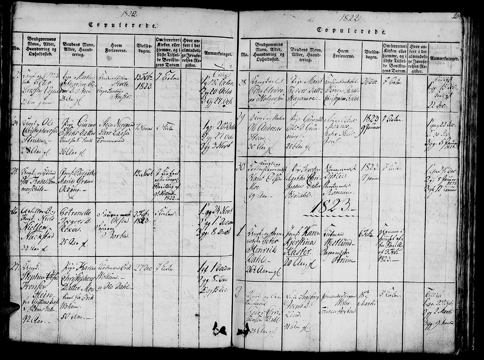 Ministerialprotokoller, klokkerbøker og fødselsregistre - Sør-Trøndelag, SAT/A-1456/602/L0135: Parish register (copy) no. 602C03, 1815-1832, p. 204