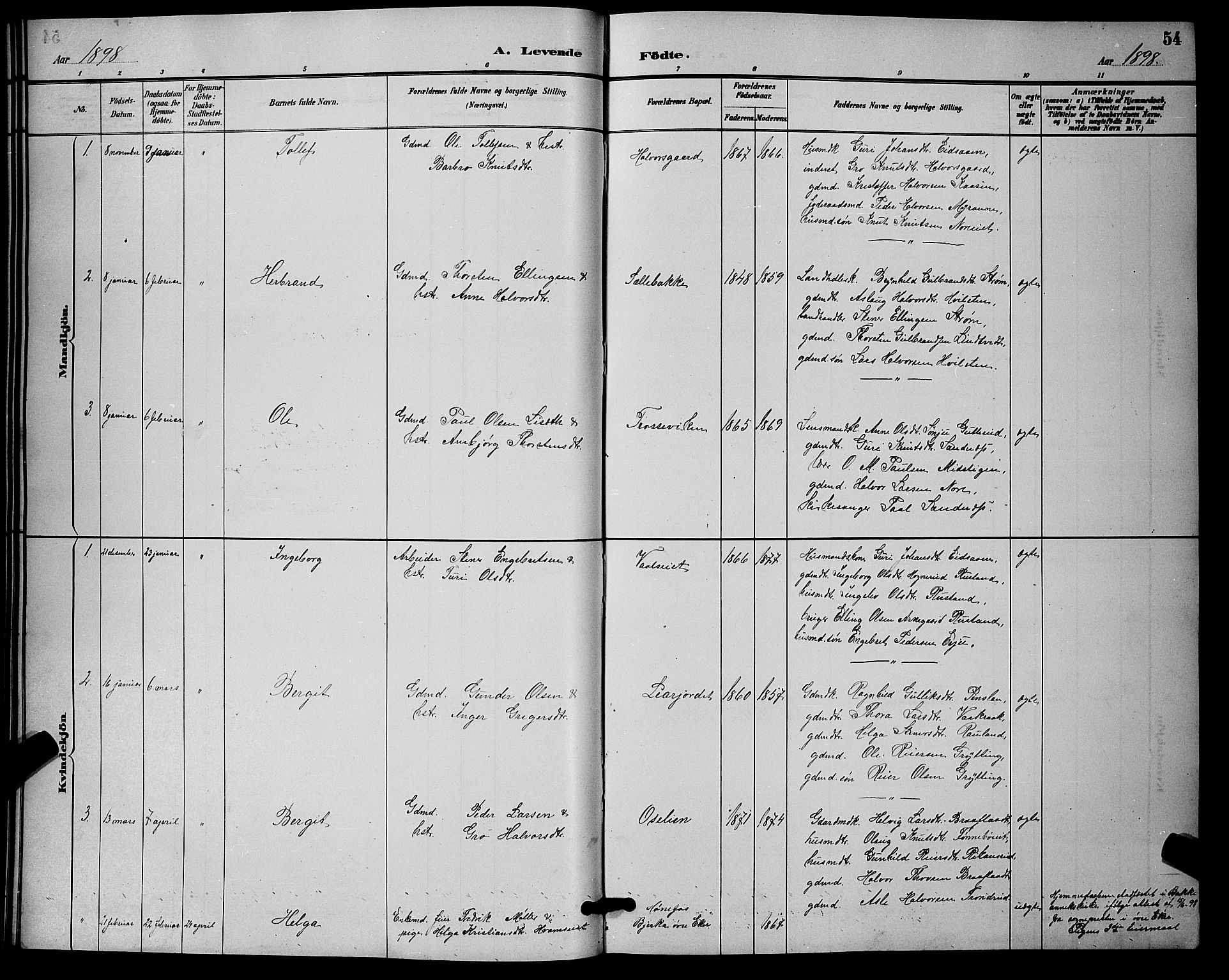Nore kirkebøker, SAKO/A-238/G/Ga/L0003: Parish register (copy) no. I 3, 1886-1903, p. 54
