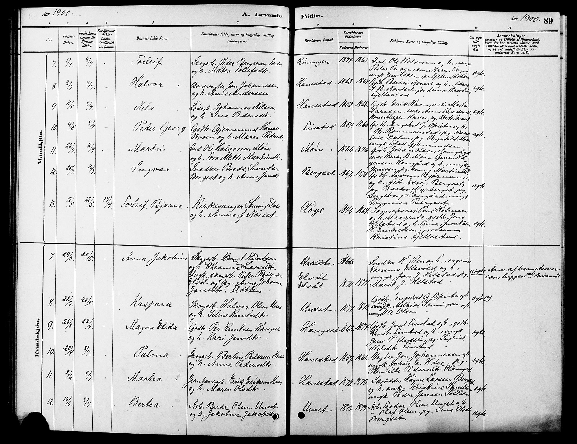 Rendalen prestekontor, SAH/PREST-054/H/Ha/Hab/L0003: Parish register (copy) no. 3, 1879-1904, p. 89