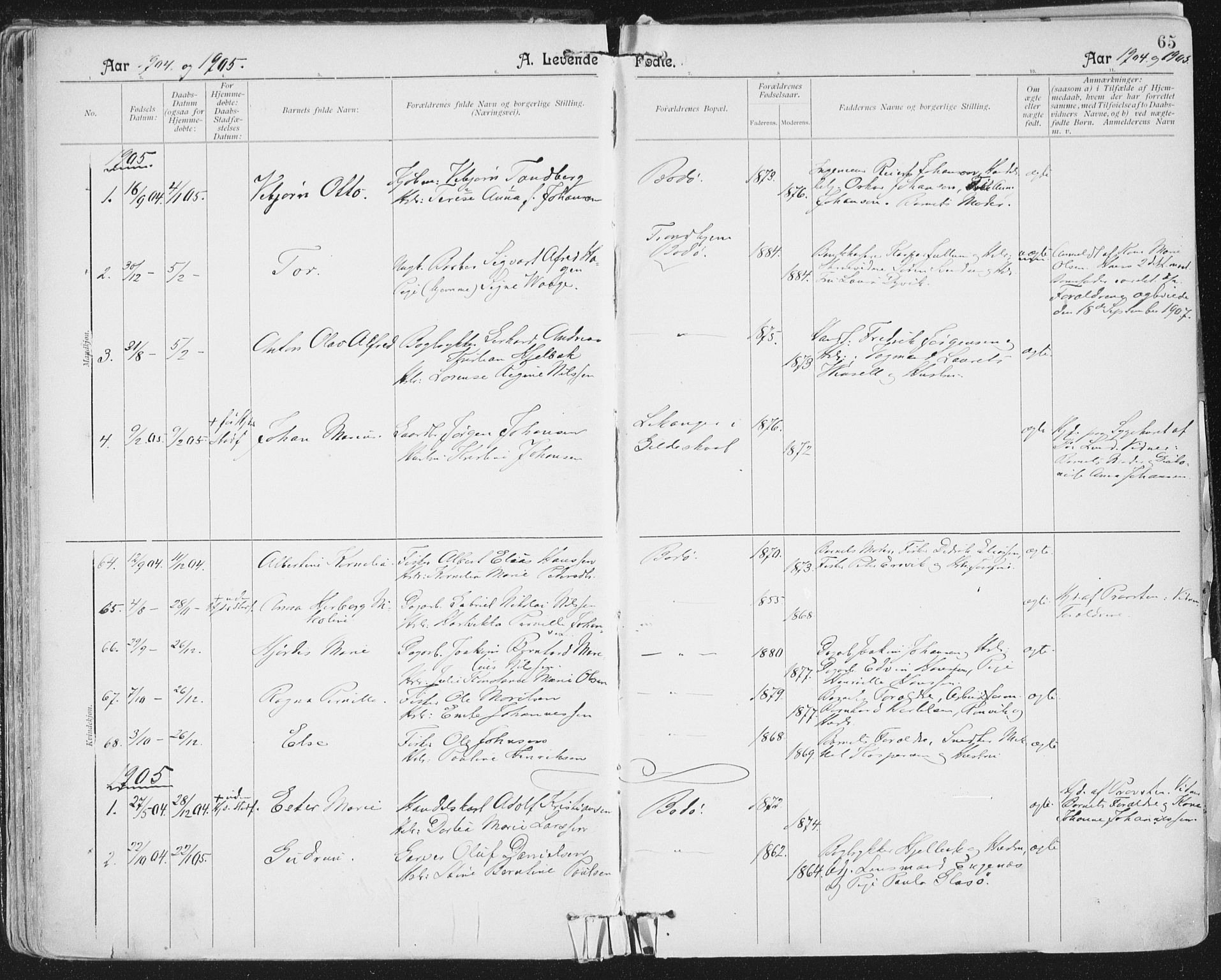 Ministerialprotokoller, klokkerbøker og fødselsregistre - Nordland, AV/SAT-A-1459/801/L0011: Parish register (official) no. 801A11, 1900-1916, p. 65