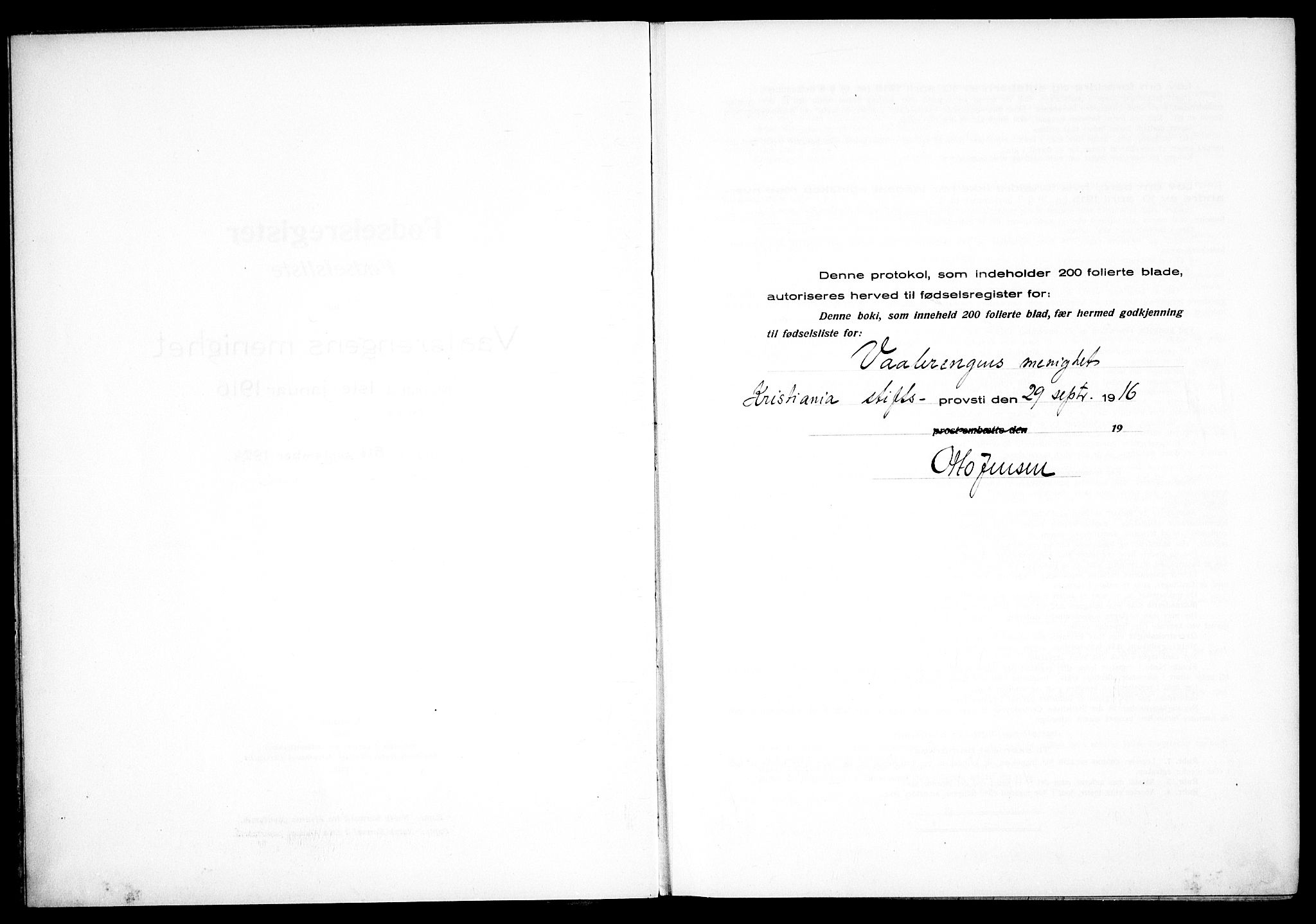 Vålerengen prestekontor Kirkebøker, SAO/A-10878/J/Ja/L0001: Birth register no. 1, 1916-1924
