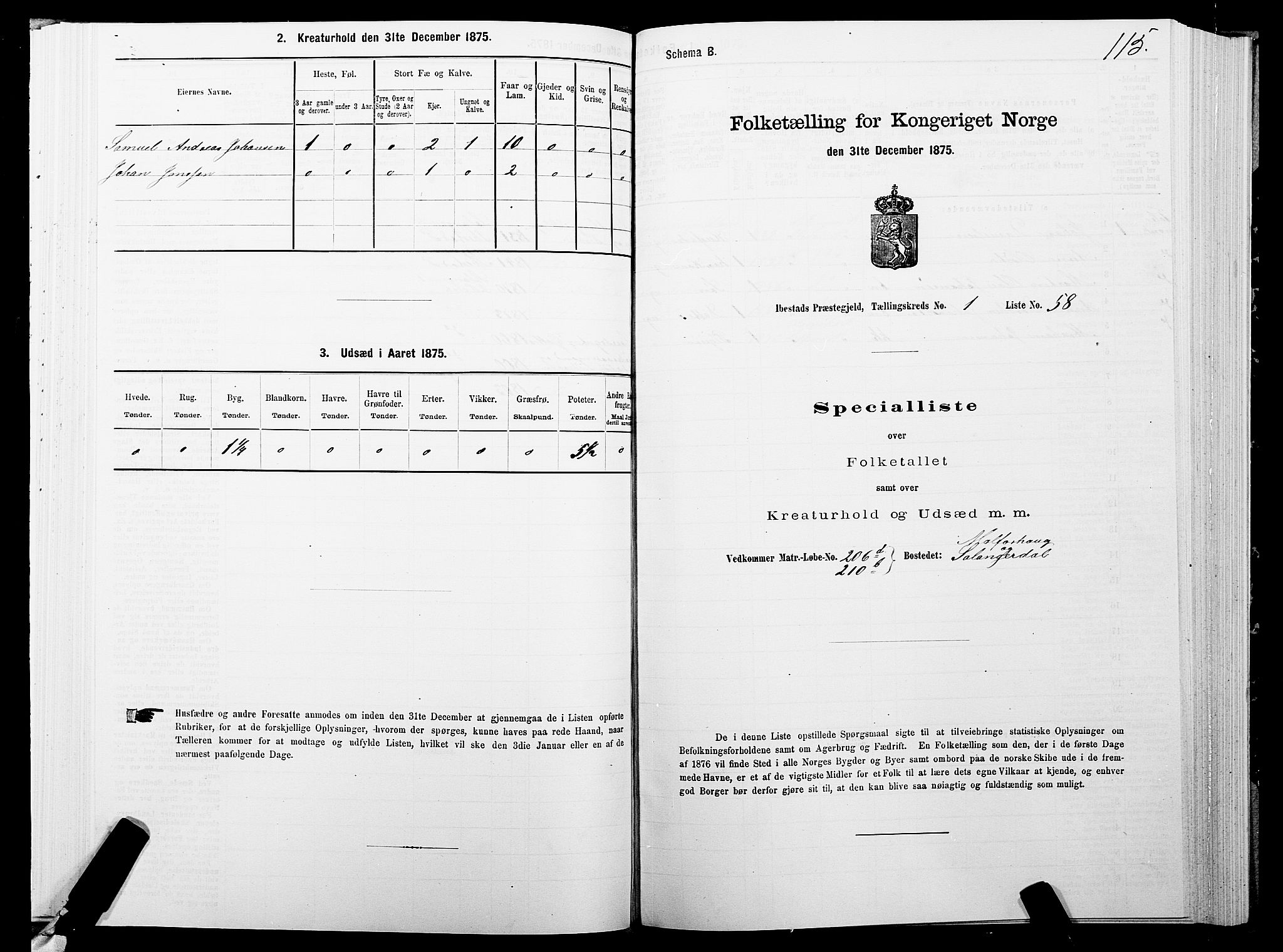 SATØ, 1875 census for 1917P Ibestad, 1875, p. 1115