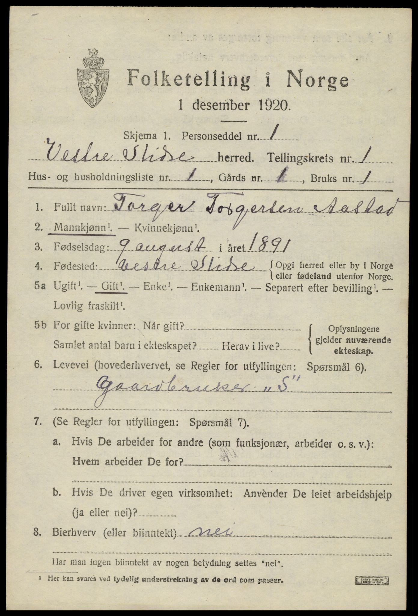 SAH, 1920 census for Vestre Slidre, 1920, p. 994