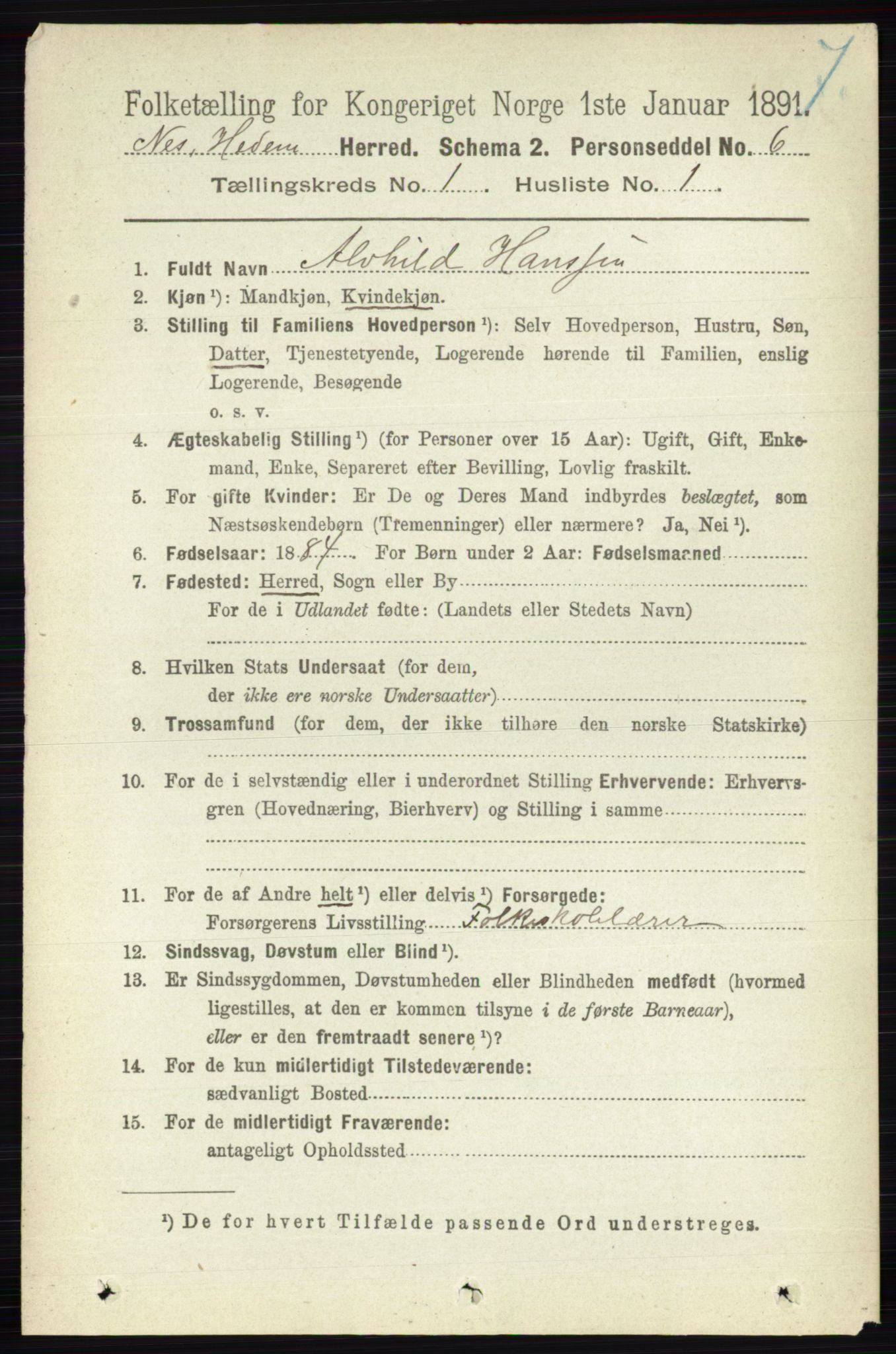 RA, 1891 census for 0411 Nes, 1891, p. 164