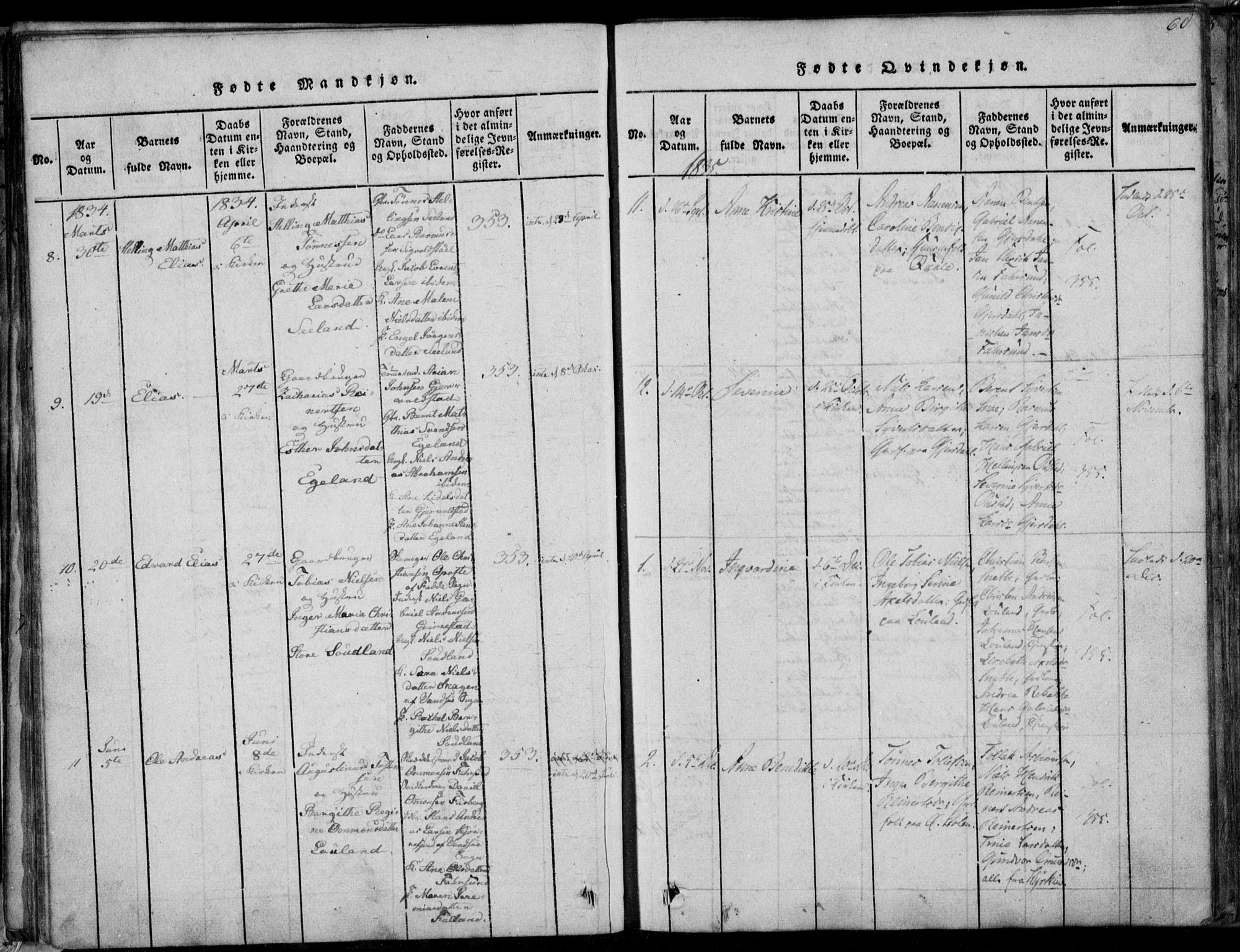 Herad sokneprestkontor, AV/SAK-1111-0018/F/Fa/Faa/L0003: Parish register (official) no. A 3, 1816-1844, p. 60