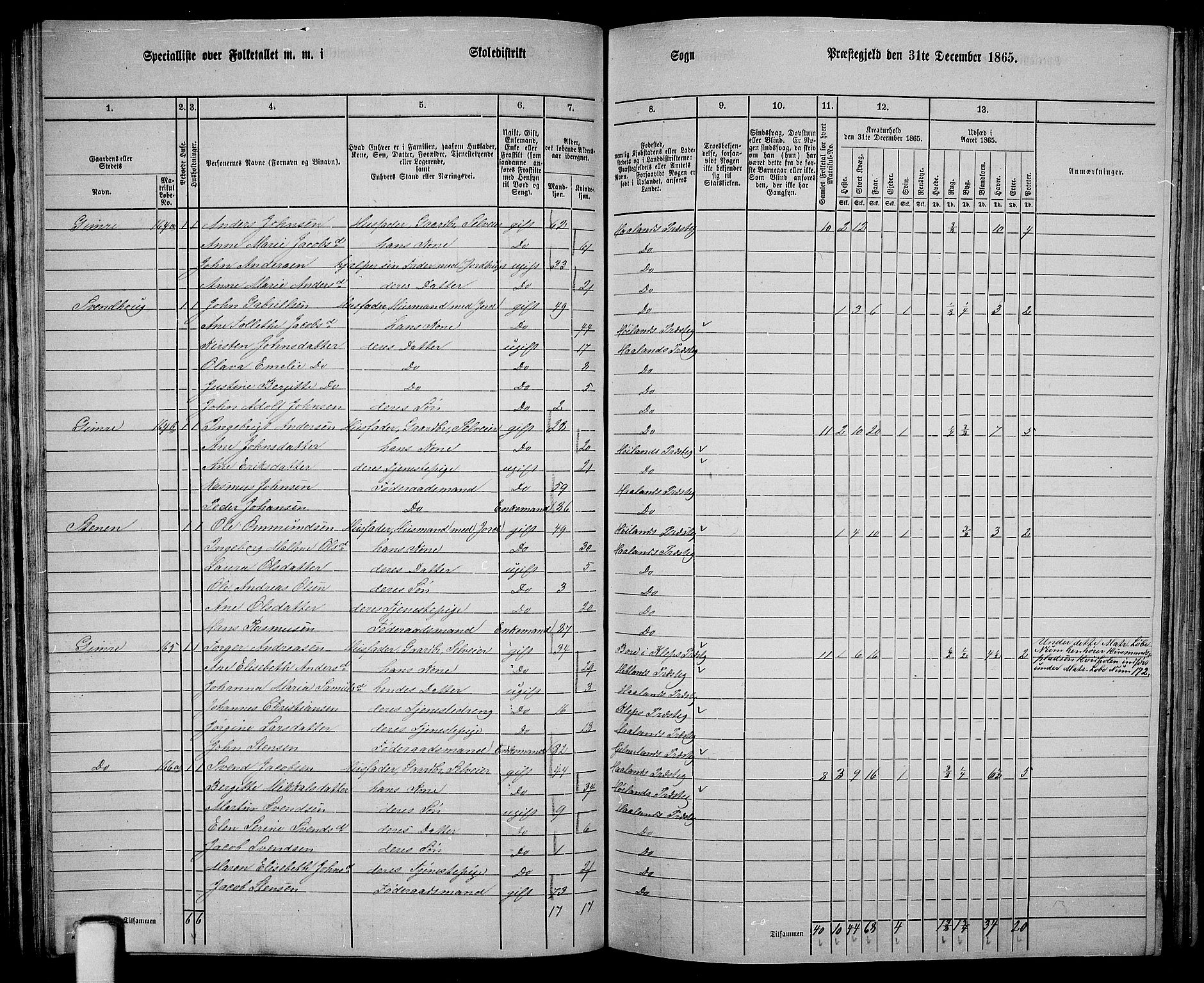 RA, 1865 census for Håland, 1865, p. 64