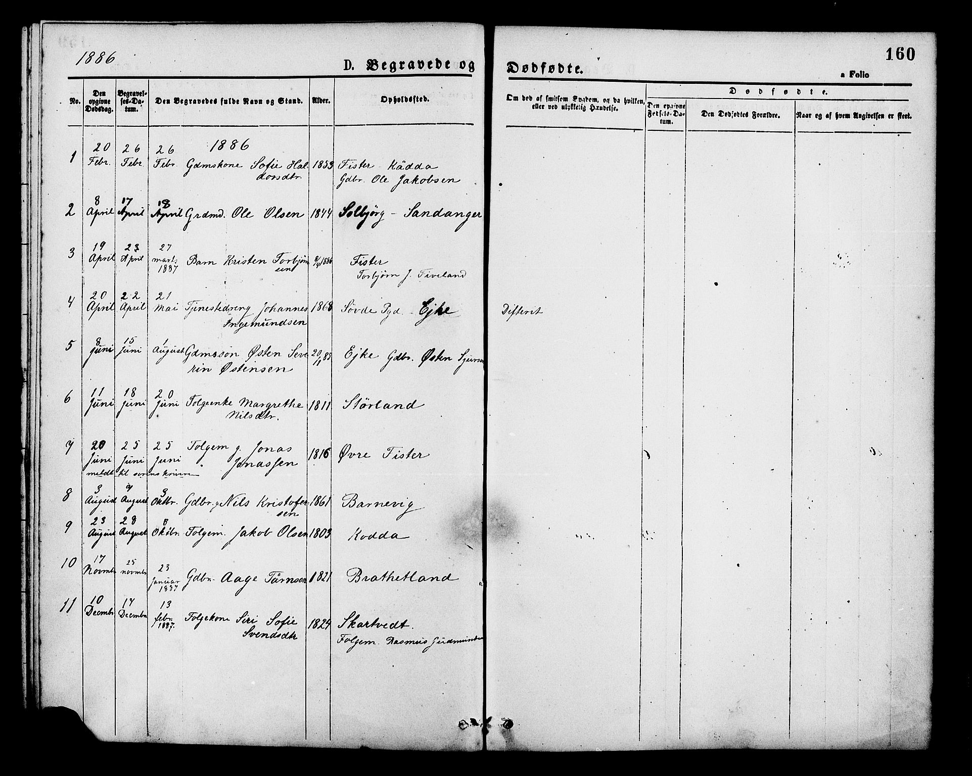 Hjelmeland sokneprestkontor, SAST/A-101843/01/IV/L0013: Parish register (official) no. A 13, 1872-1886, p. 160