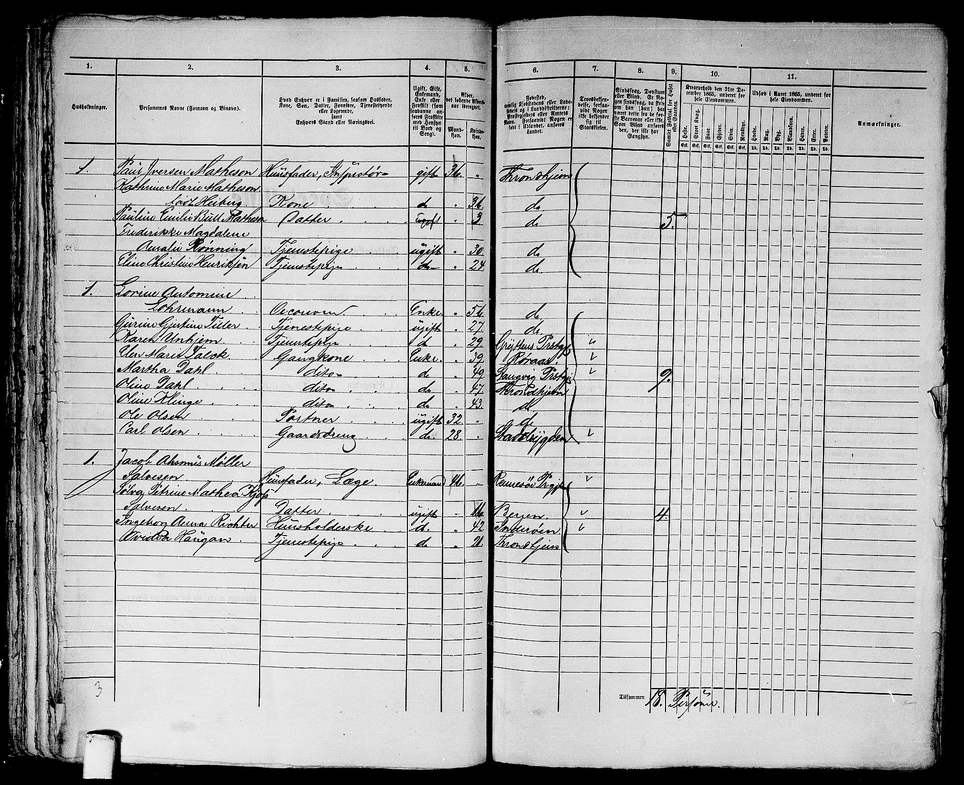 RA, 1865 census for Trondheim, 1865, p. 1624