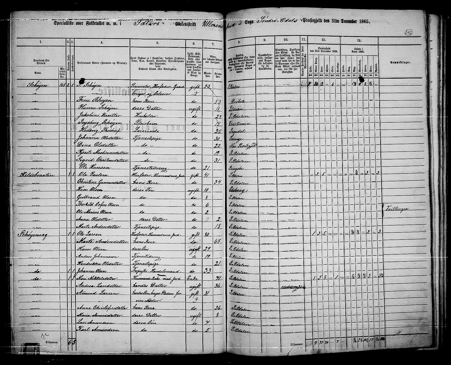 RA, 1865 census for Sør-Odal, 1865, p. 212