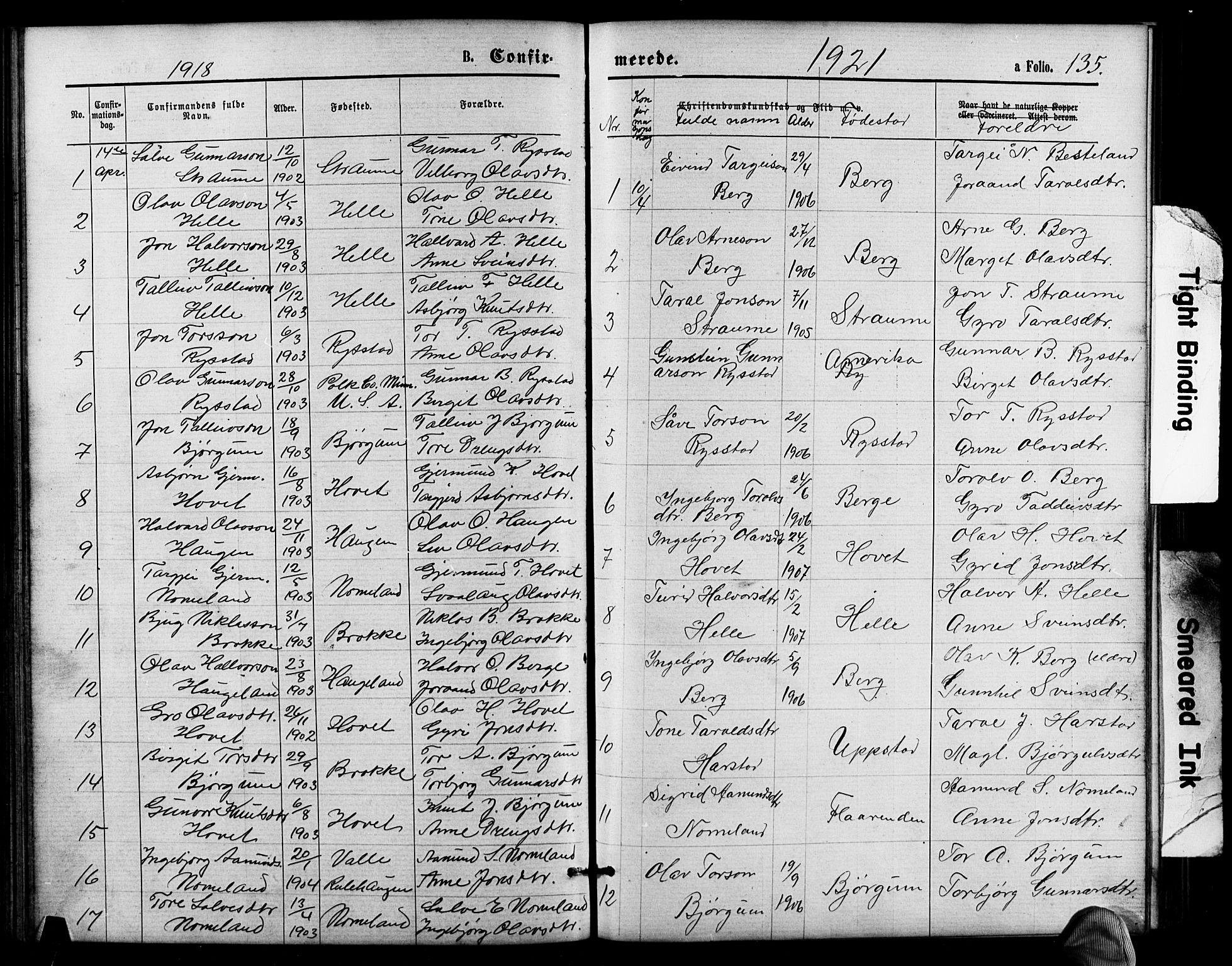 Valle sokneprestkontor, SAK/1111-0044/F/Fb/Fbb/L0002: Parish register (copy) no. B 2, 1875-1921, p. 135