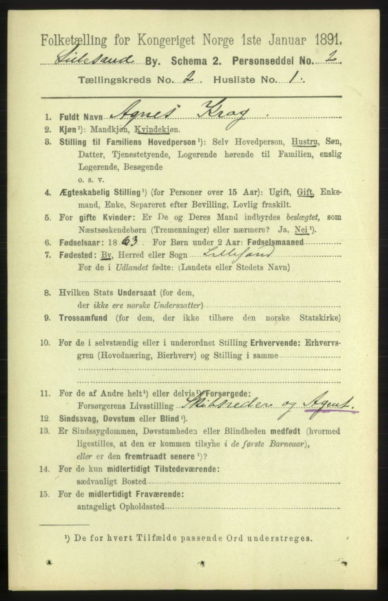 RA, 1891 census for 0905 Lillesand, 1891, p. 270